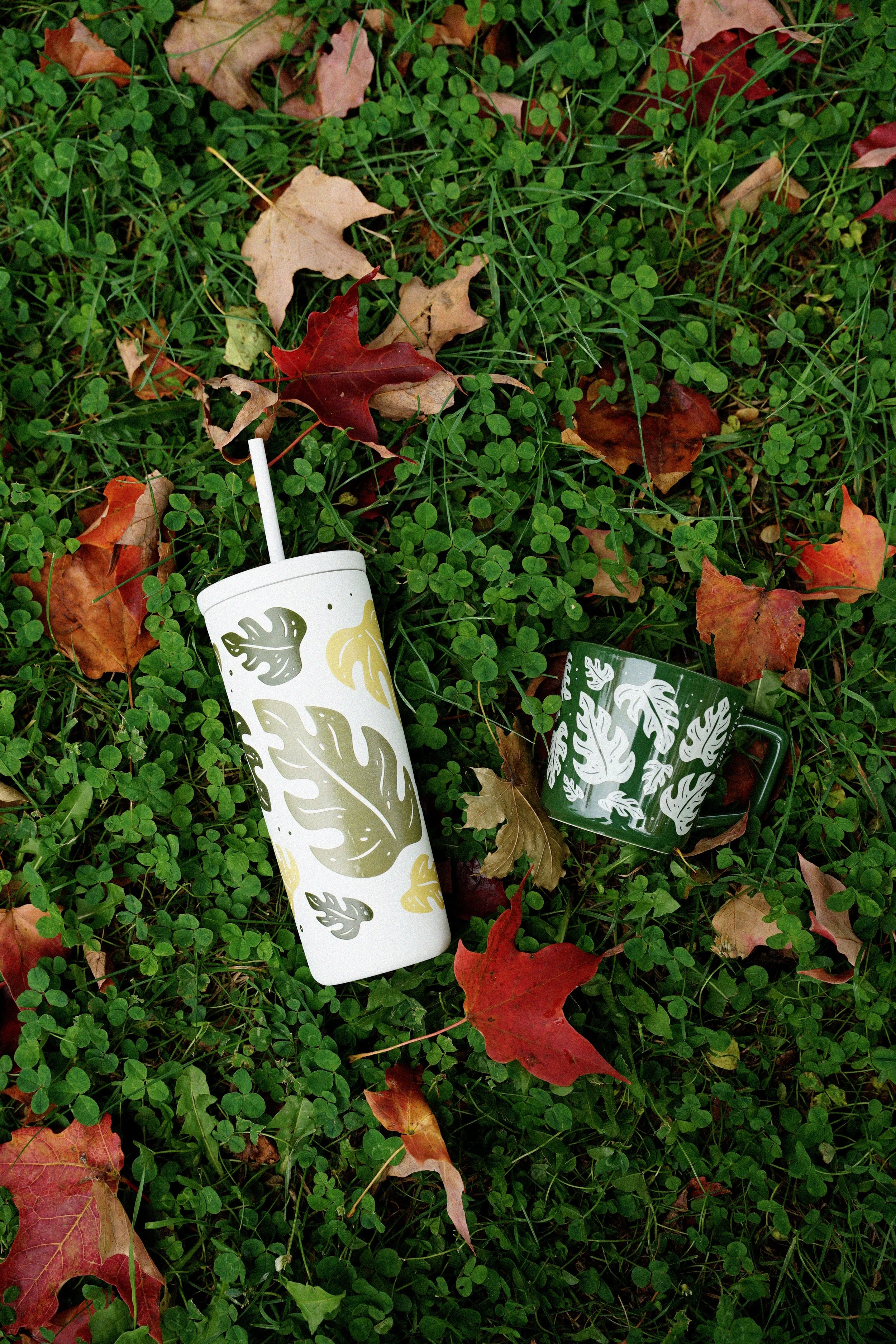 Colectivo Merchandise