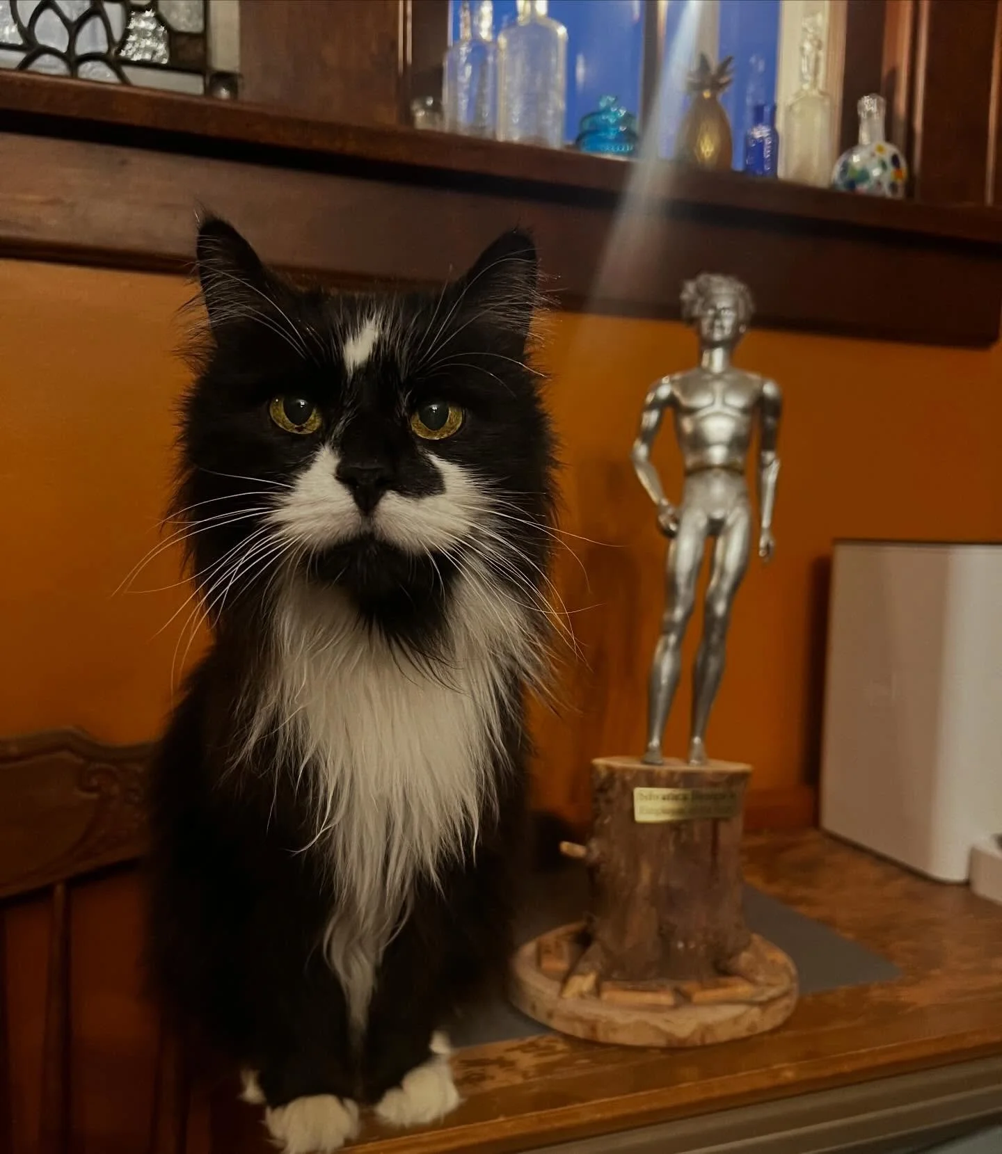 The ballots are in! We are pleased to announce that Ezekiel (aka Zeke the Freak) has won Silvatica Design&rsquo;s 2025 Employee of the Year! 

He has prepared the following statement, &ldquo;Thank you. I expected this. Let this be a lesson - dress fo