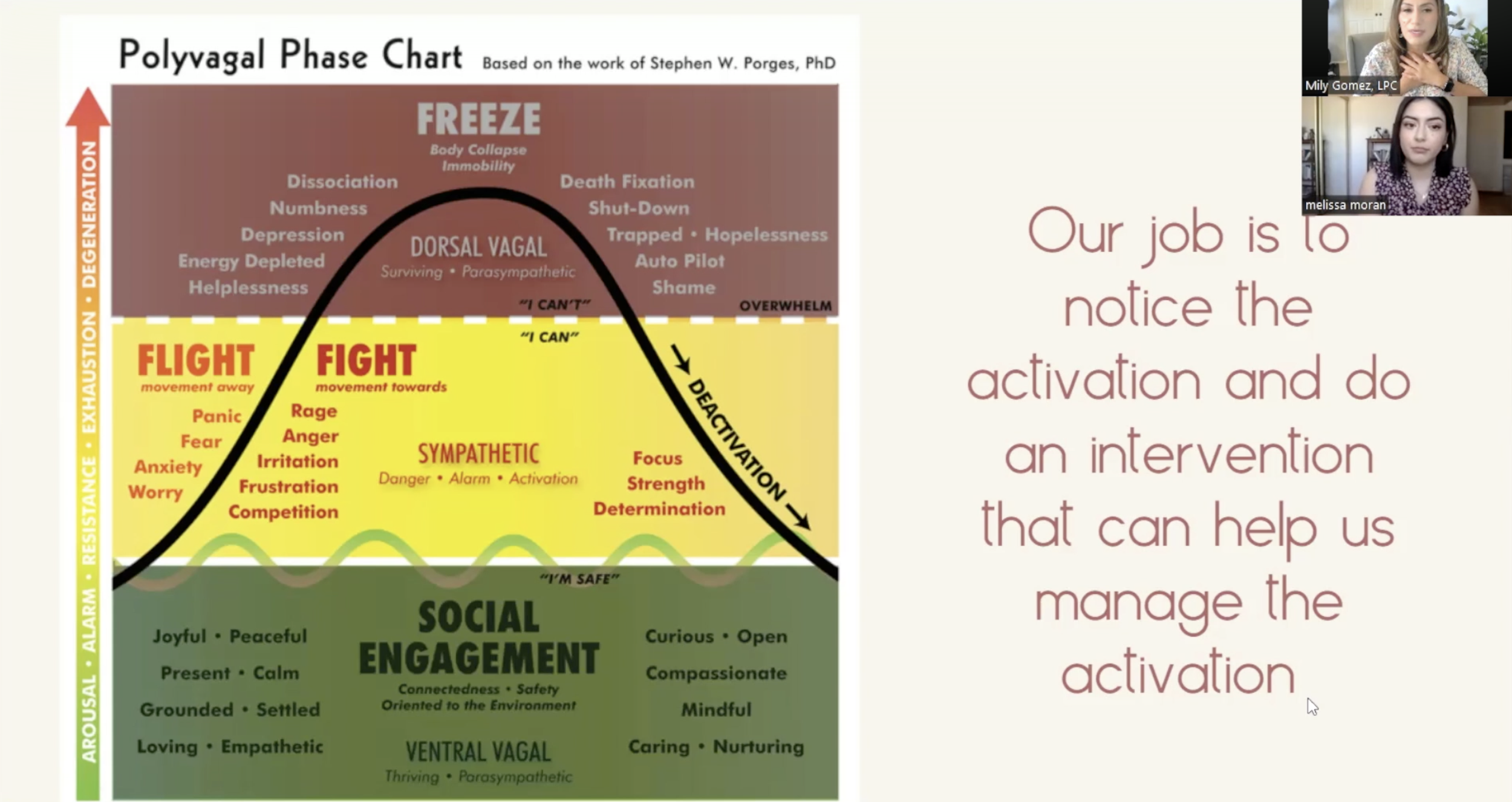 Polyvagal phase chart illustrating the different states of the autonomic nervous system during stress and relaxation. The chart shows three main zones: social engagement (green), fight/flight response (yellow), and freeze (red). It explains symptoms and behaviors associated with each zone and the transition between them, emphasizing the importance of noticing activation for management.