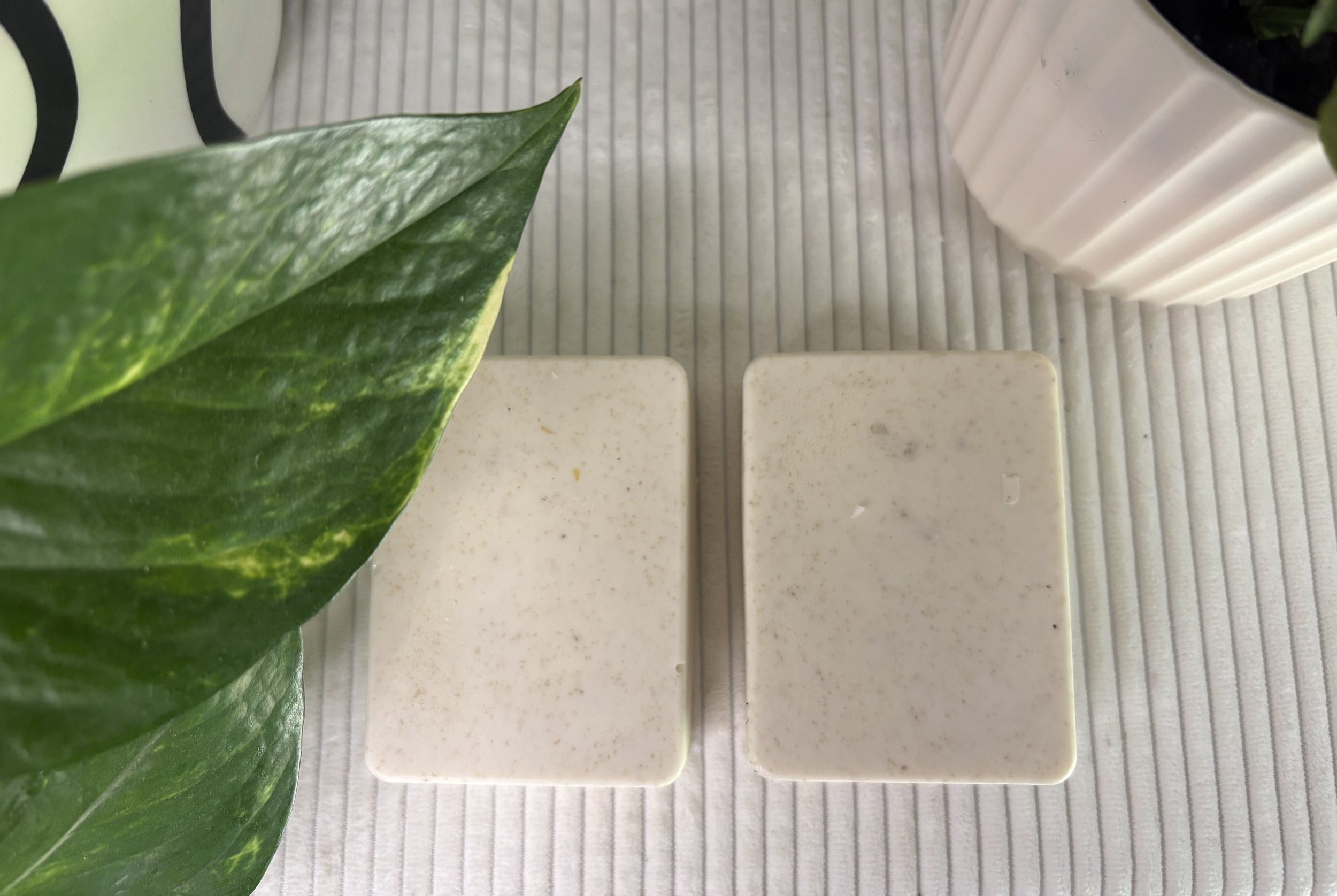 bar oats 1.jpg