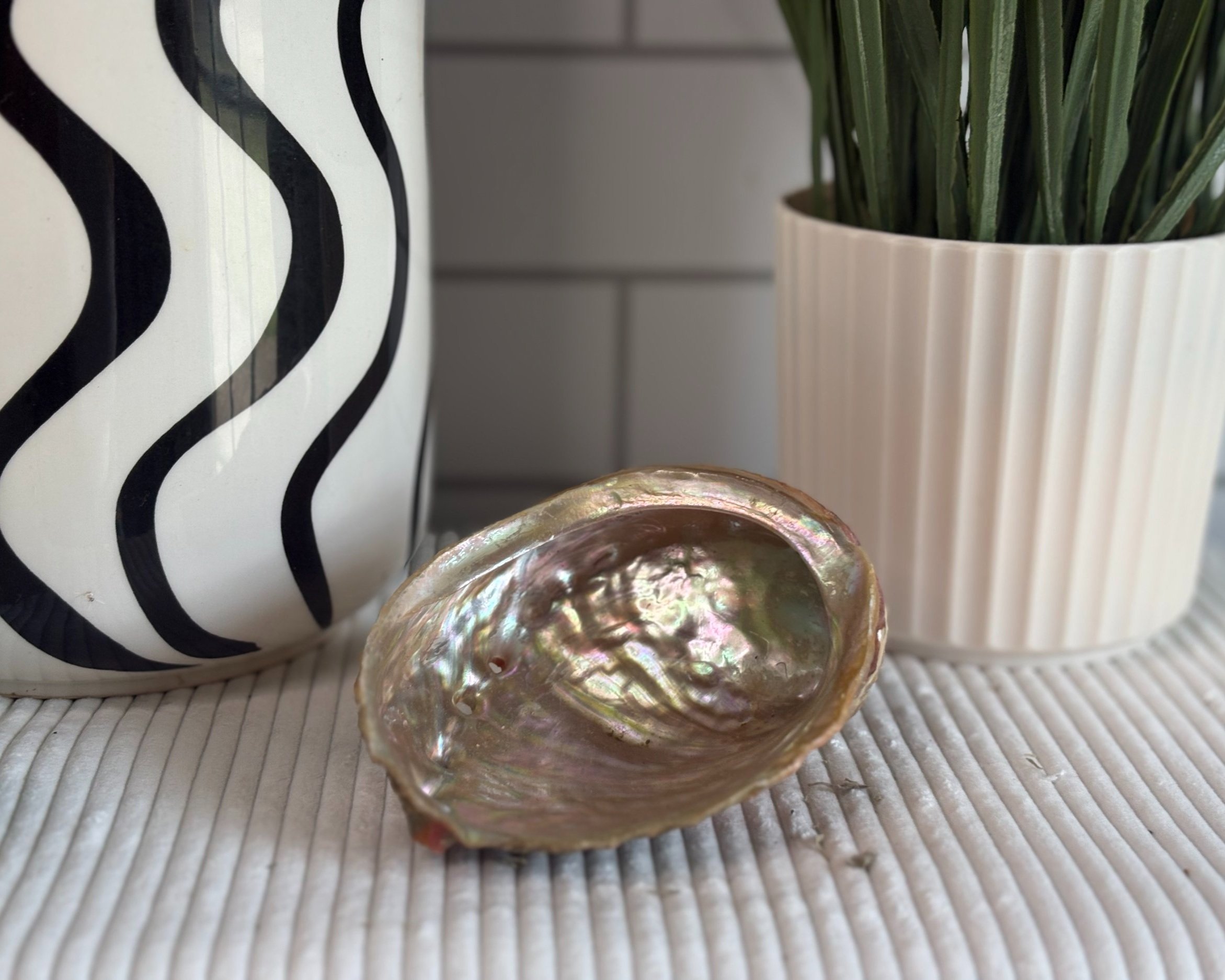 shell+pic+1.jpg