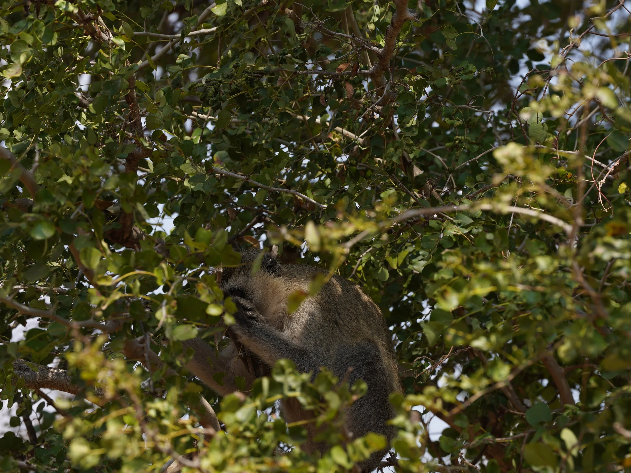 DSC05501.JPG