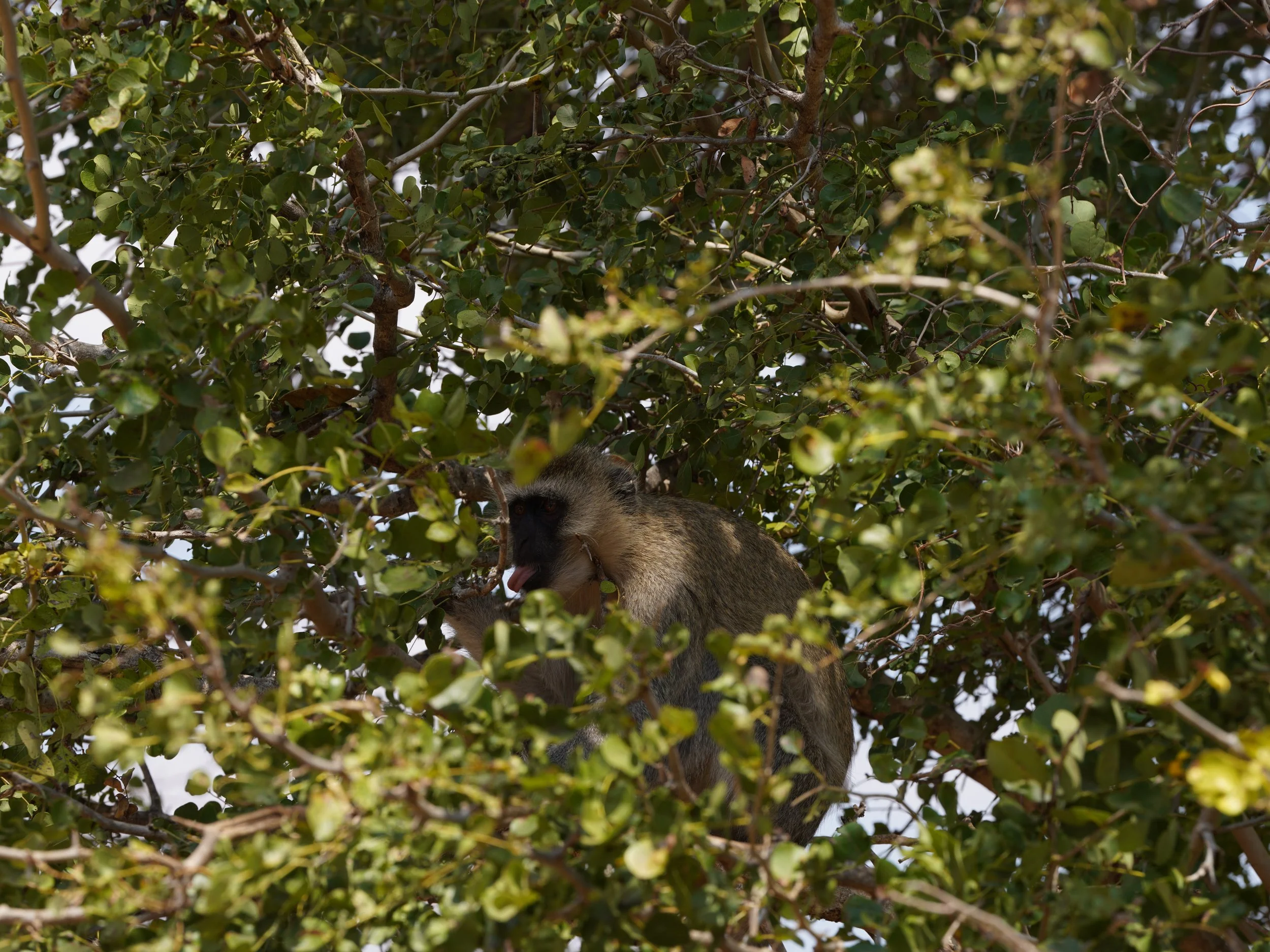 DSC05508.JPG