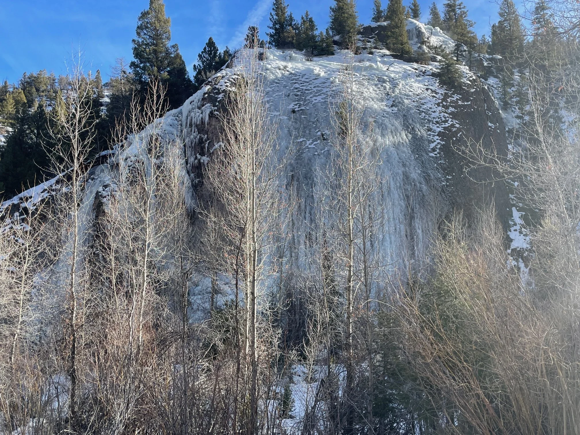 Rolly-Poly 12.24.2025