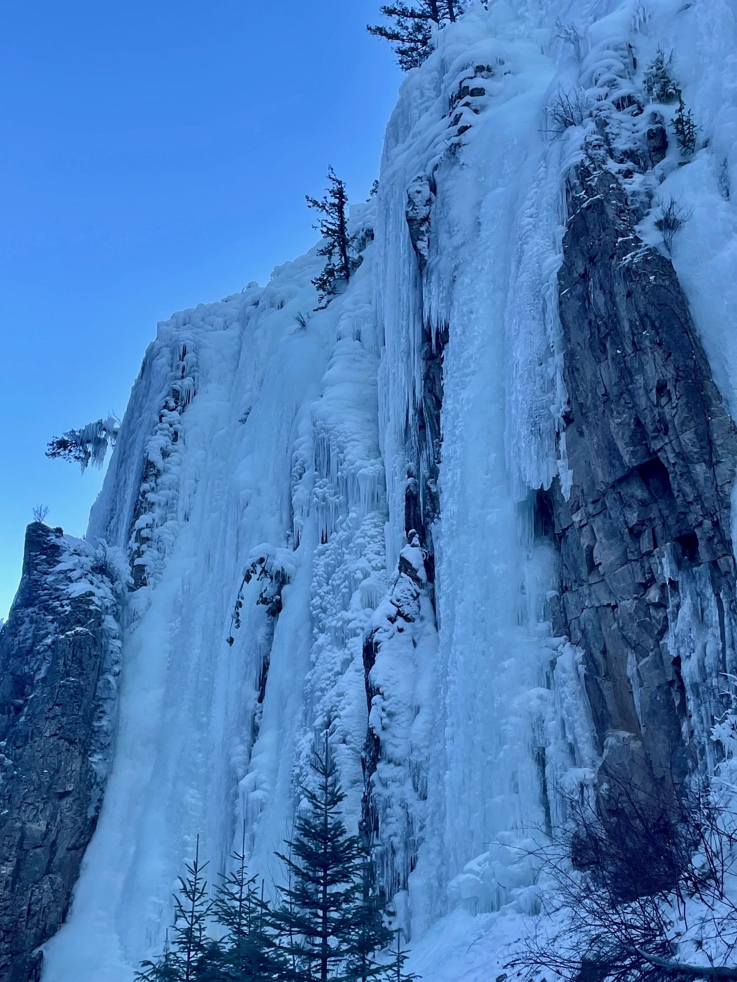 Sherwin Groceries 1.14.26