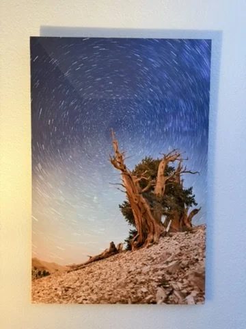 20x30" Metal Print