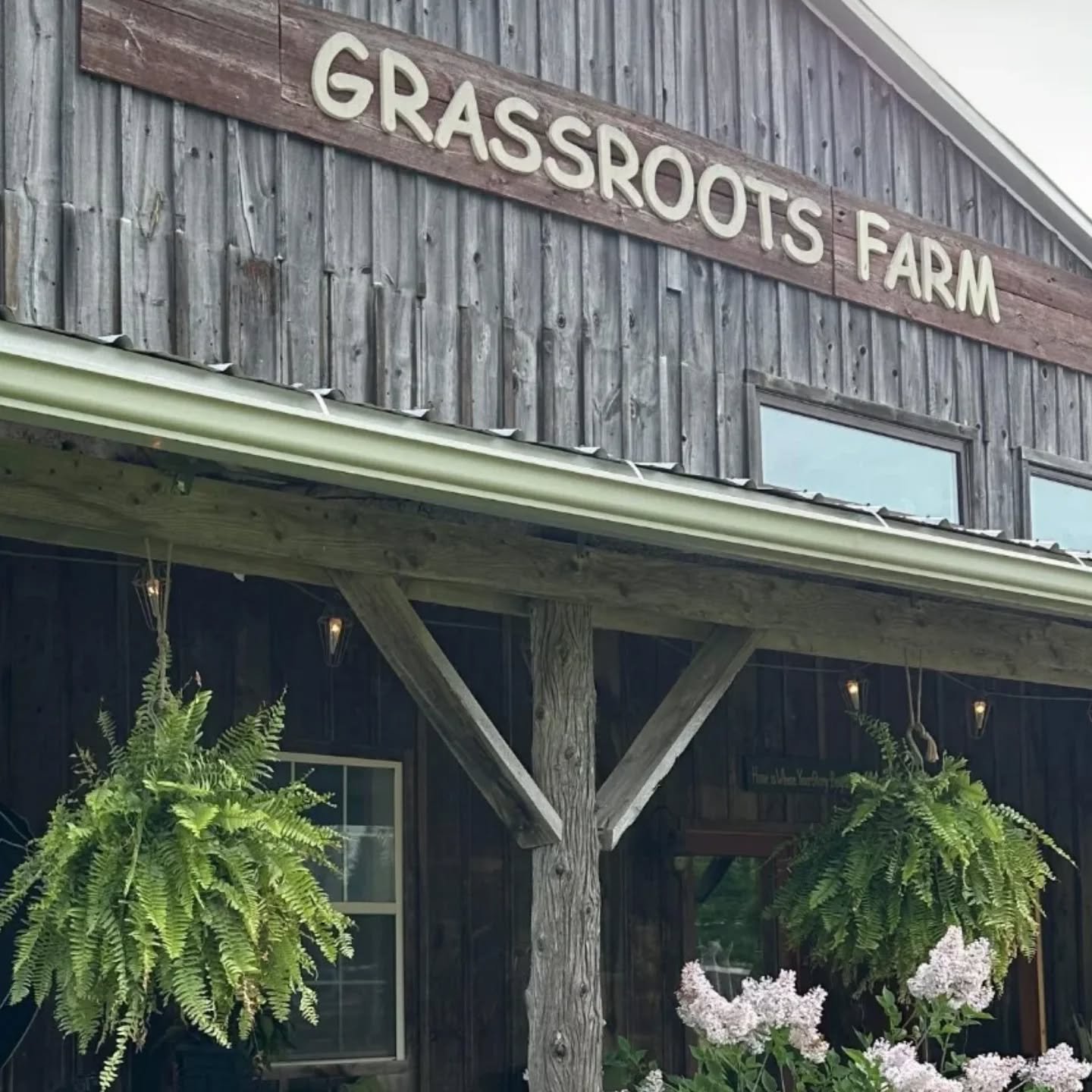 FRIDAYS ARE FOR FARM VISITS 🌿🌿

Mark your calendar for Friday nights from June to September (and Saturday nights in July &amp; August) to come out and enjoy our sixth generation family farm located just outside Lucknow! 

Walk our farm gardens, vis