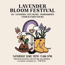 Lavender Bloom Festival