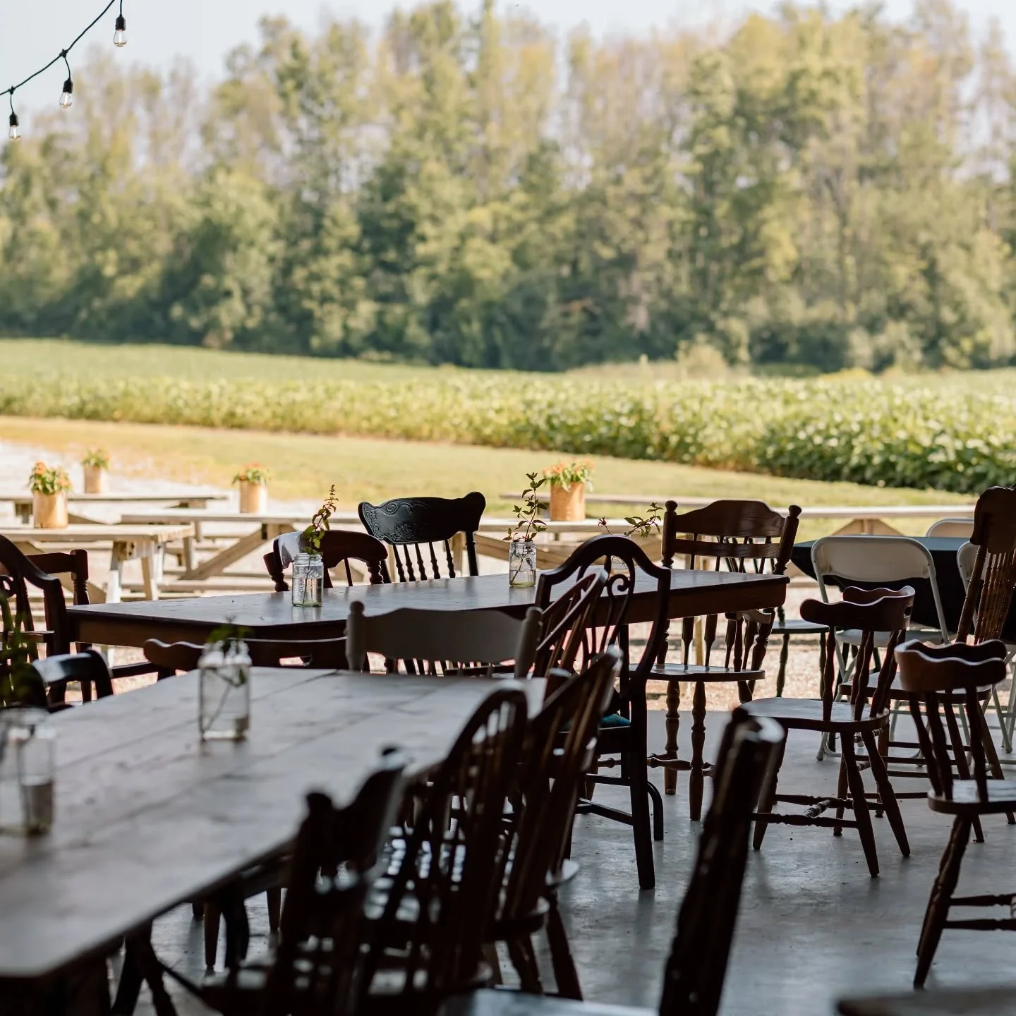 NO RESERVATIONS NEEDED 🌿🍕🌾

A common question we are asked is if reservations are needed for our farm pizzeria, the answer is no! 

With plenty of seating both inside &amp; out we do not take reservations and encourage you to come on out! 

We are