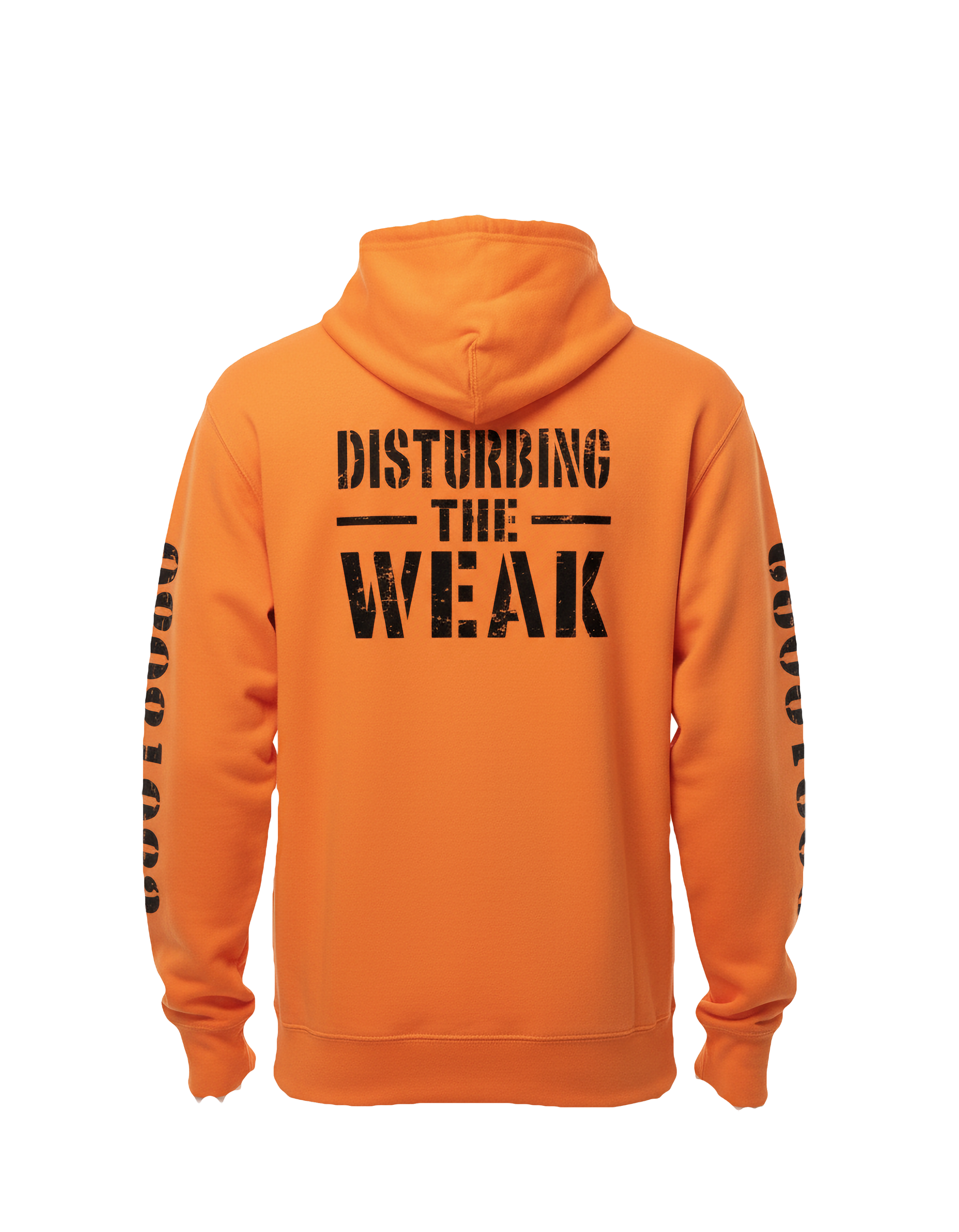 Corrections Hoodie Back.png