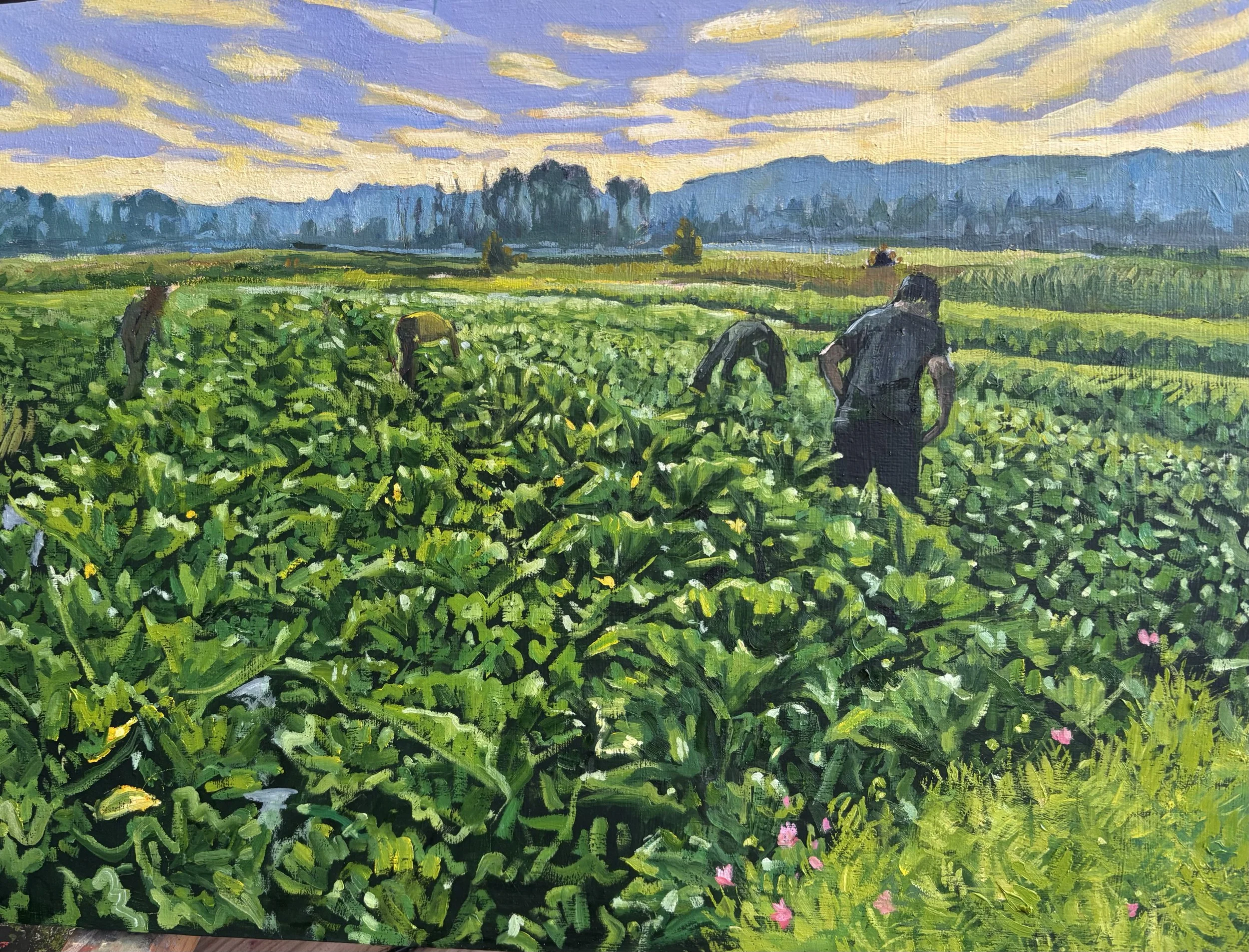 morning zucchini harvest
18x24
oil on birch board
available for purchase