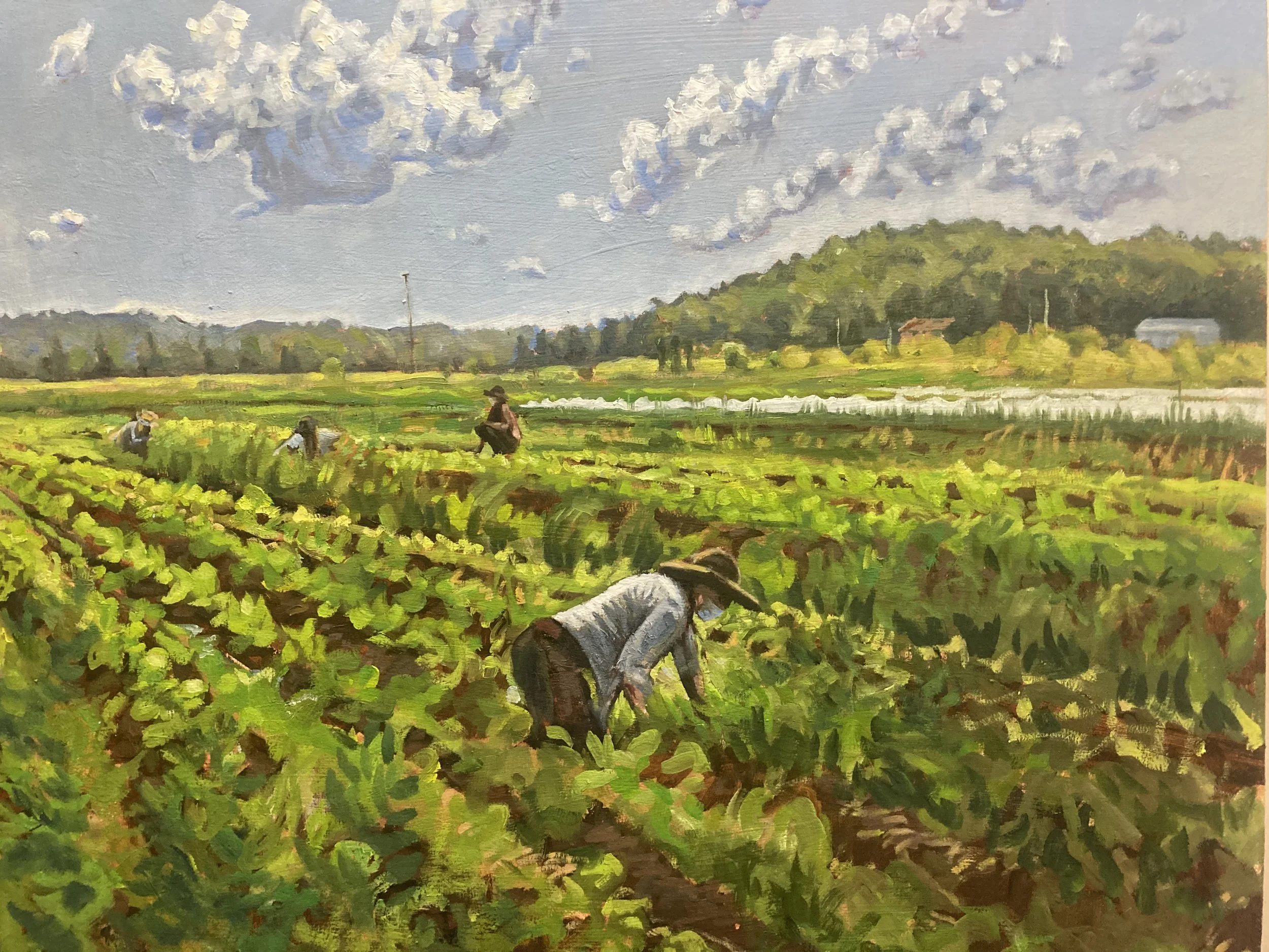 "weeding during fire season"
18"x24"
available for purchase