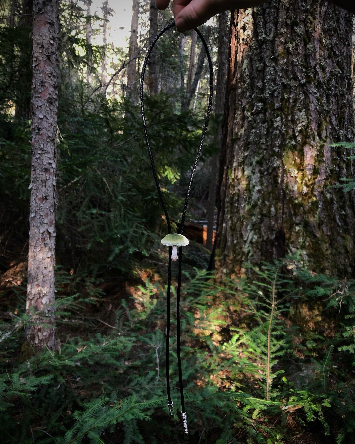 Ran to the Forest yesterday evening to take some last second photos of some real cute babies I&rsquo;ll have available this weekend! 

Bolo Ties, Bandanas Slides, Specimen Jars, Specimen Earrings, Chokers and Necklace of lots of different sizes, ever
