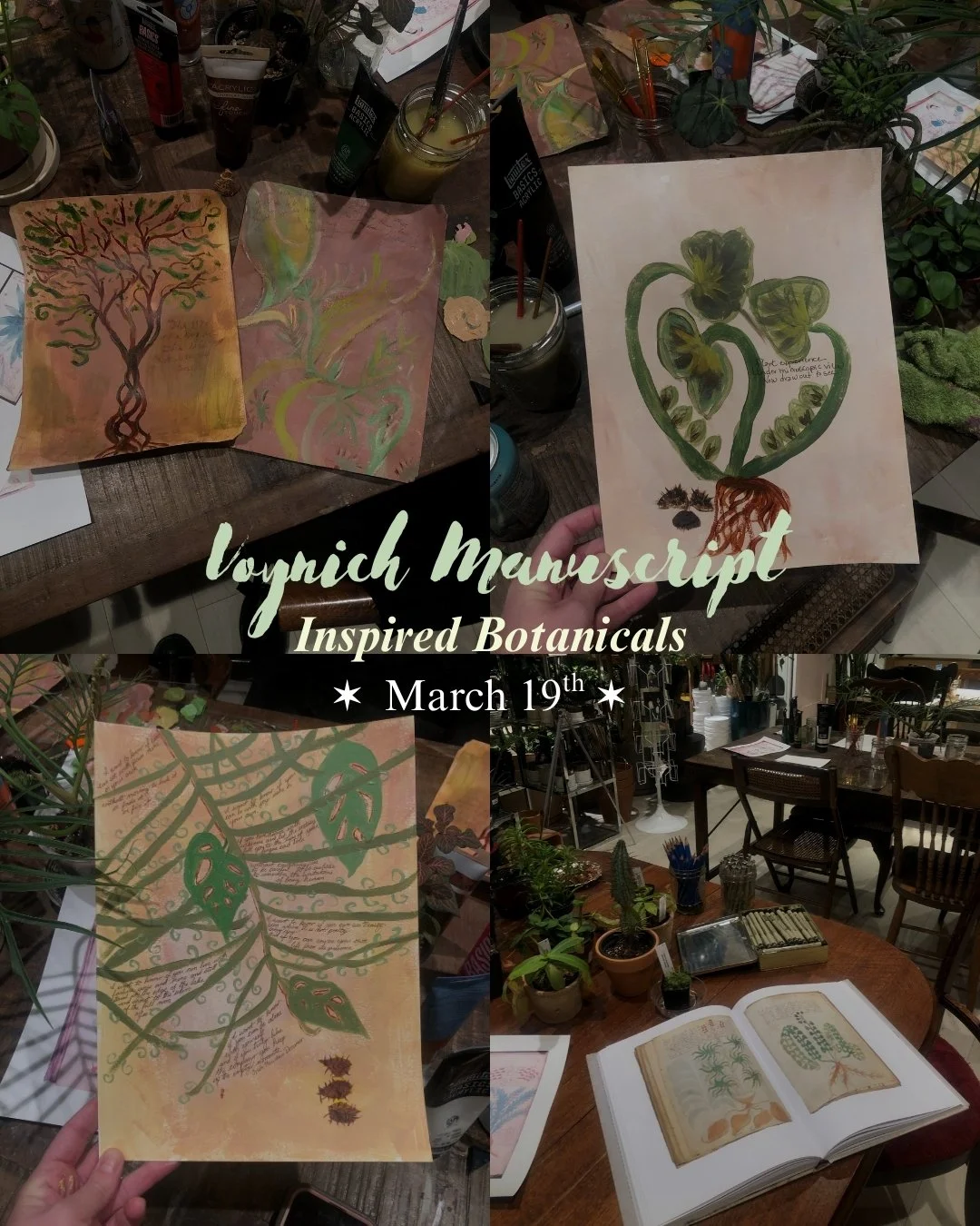 Inspired Botanicals - The Voynich Manuscript