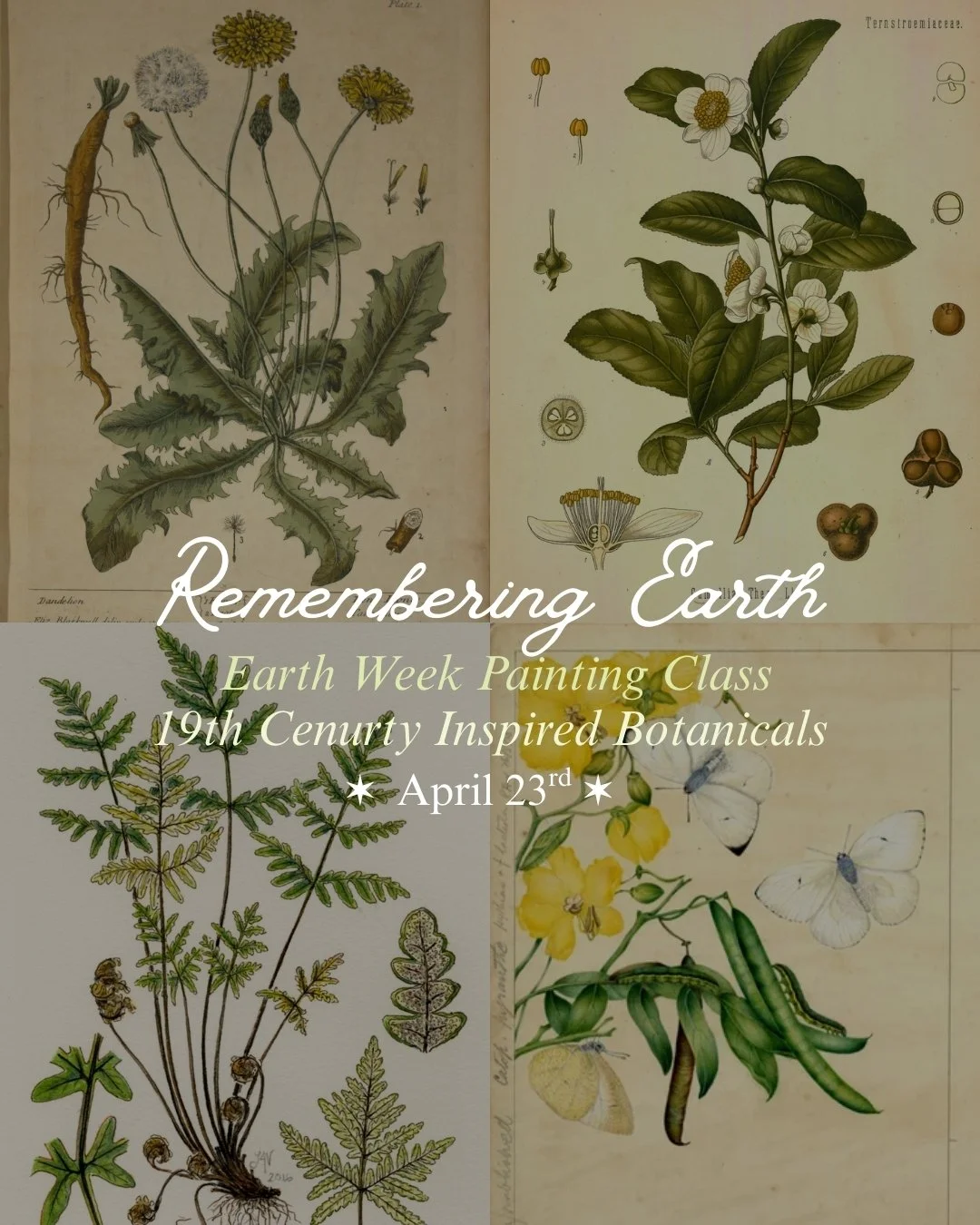 Remembering Earth - 19th Century Inspired Botanical Illustration Class - 4/23