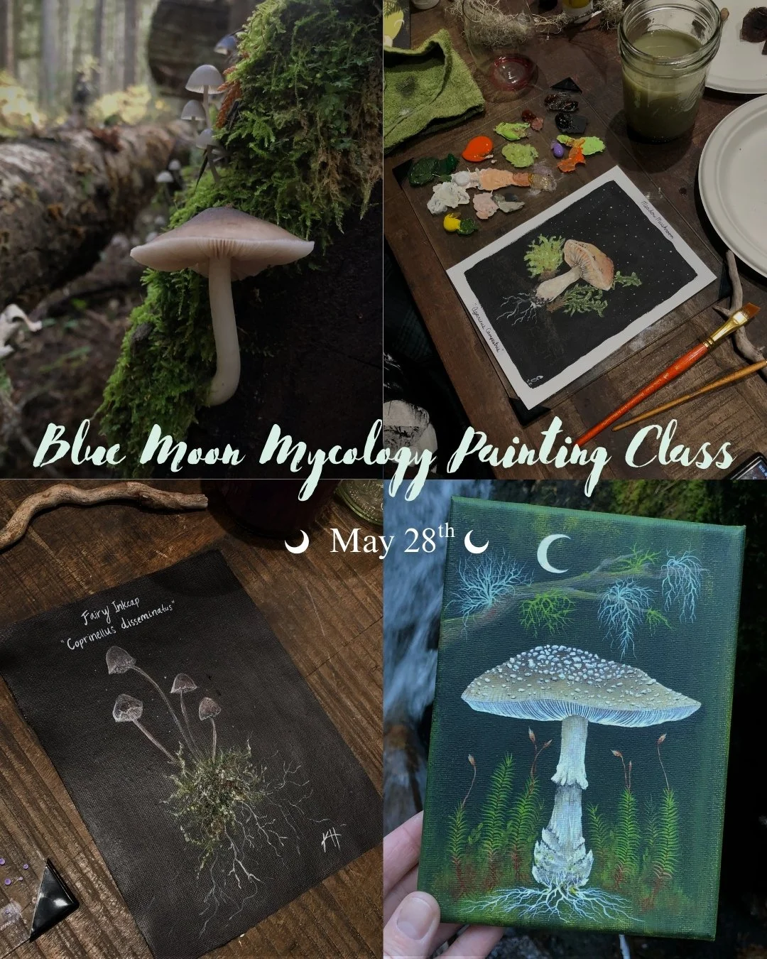 Blue Moon Mycology Painting Class - 5/28