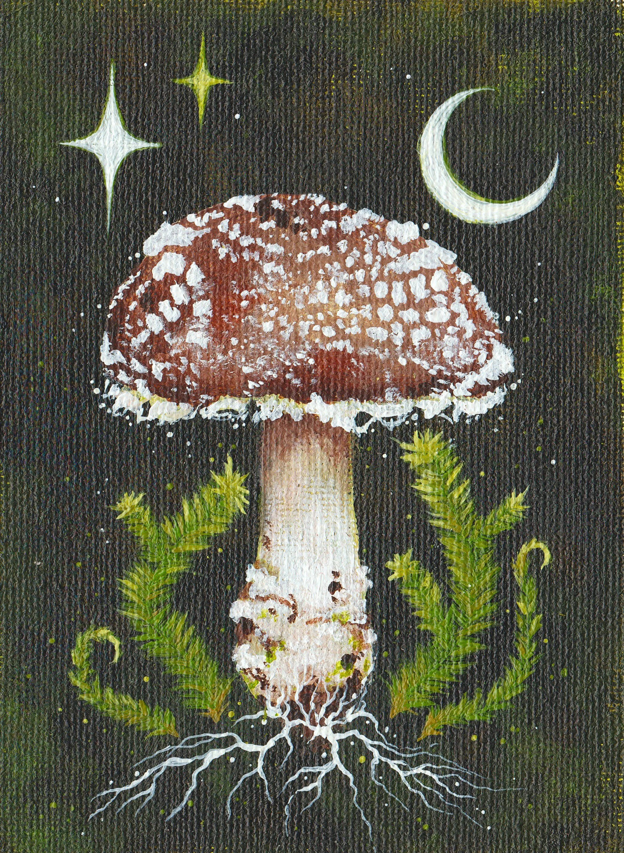 MCNEILL_midnightamanita.jpg