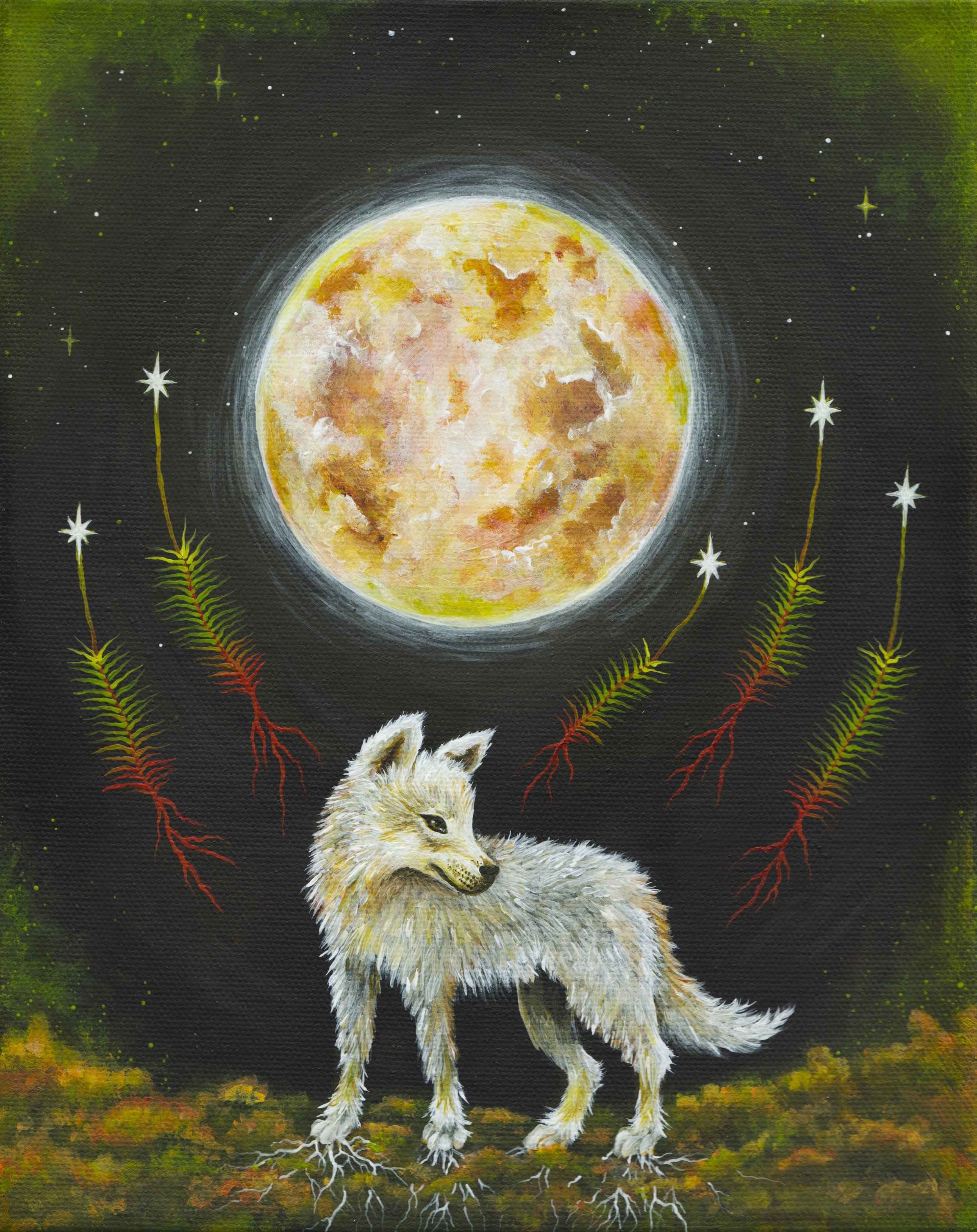 MCNEILL_wolfmoonoverthebog.jpg