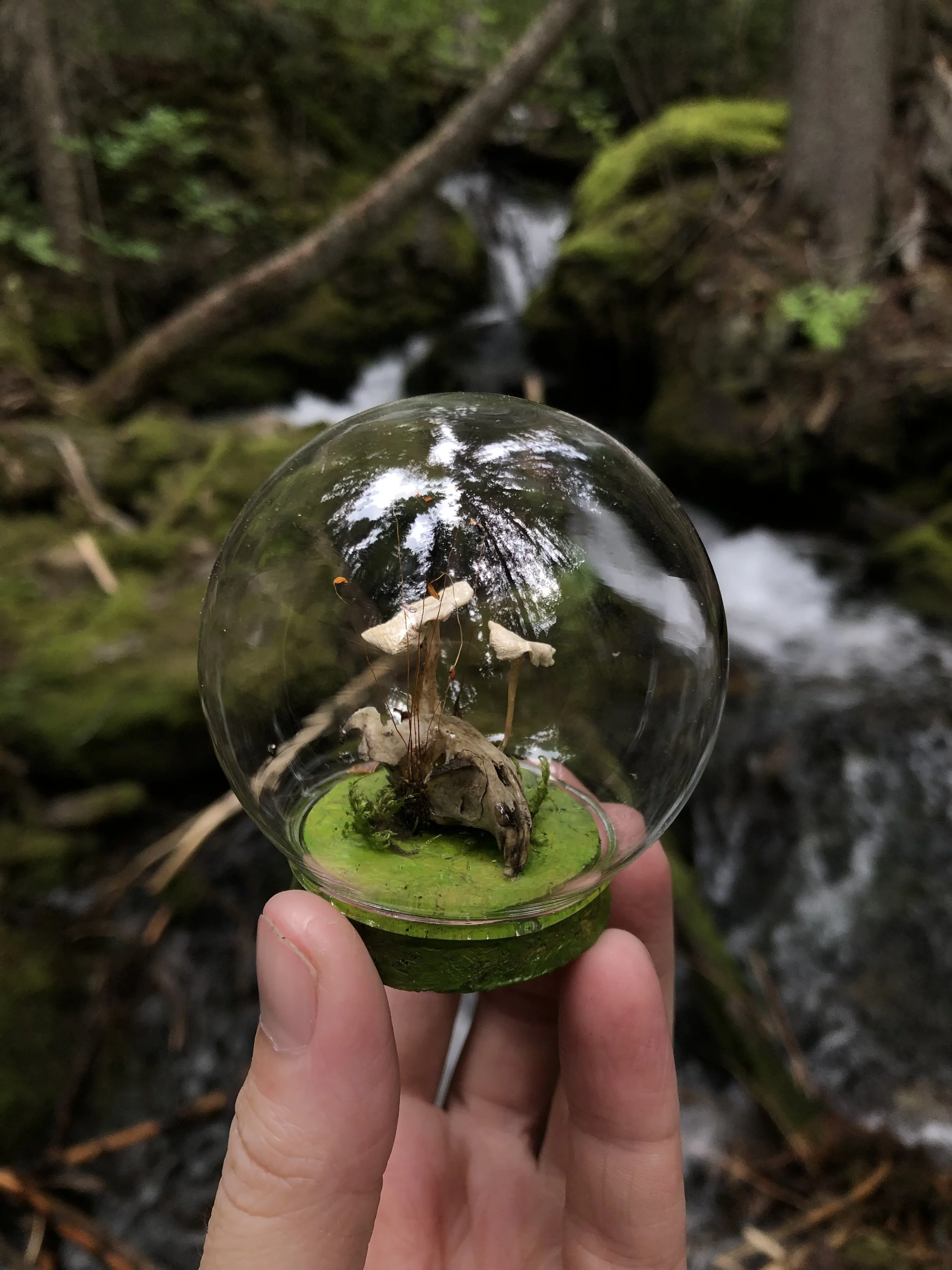 Oddities &amp; Curiosities Expo - Portland, Oregon