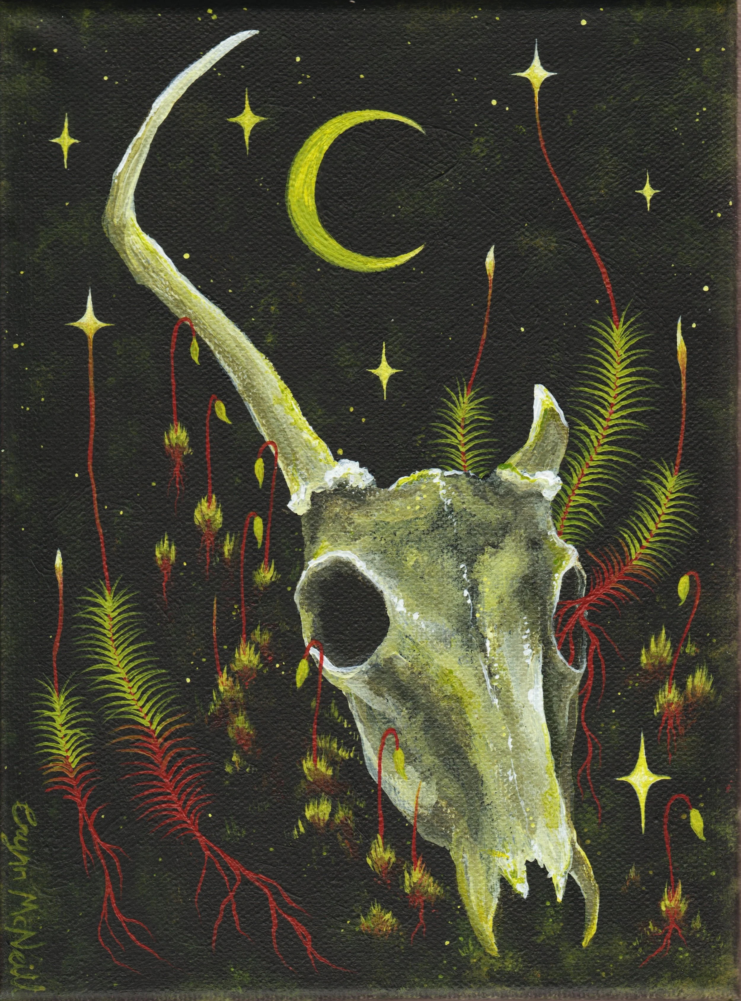 River Skull (2026)
