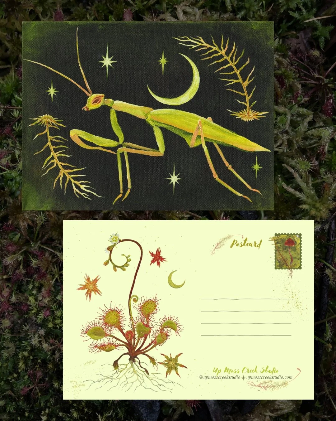 Fen Folklore Series Postcards.jpg