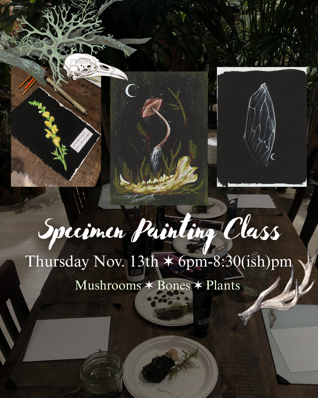 Specimen Painting Class - 11/13