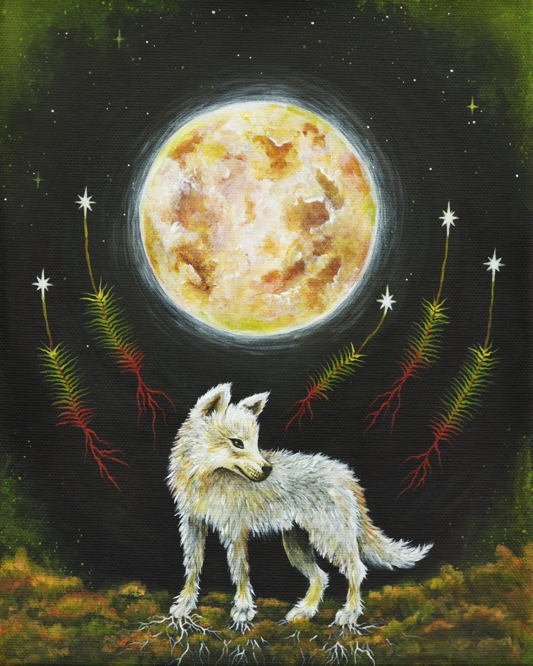 Wolf Moon Over the Bog (2026)