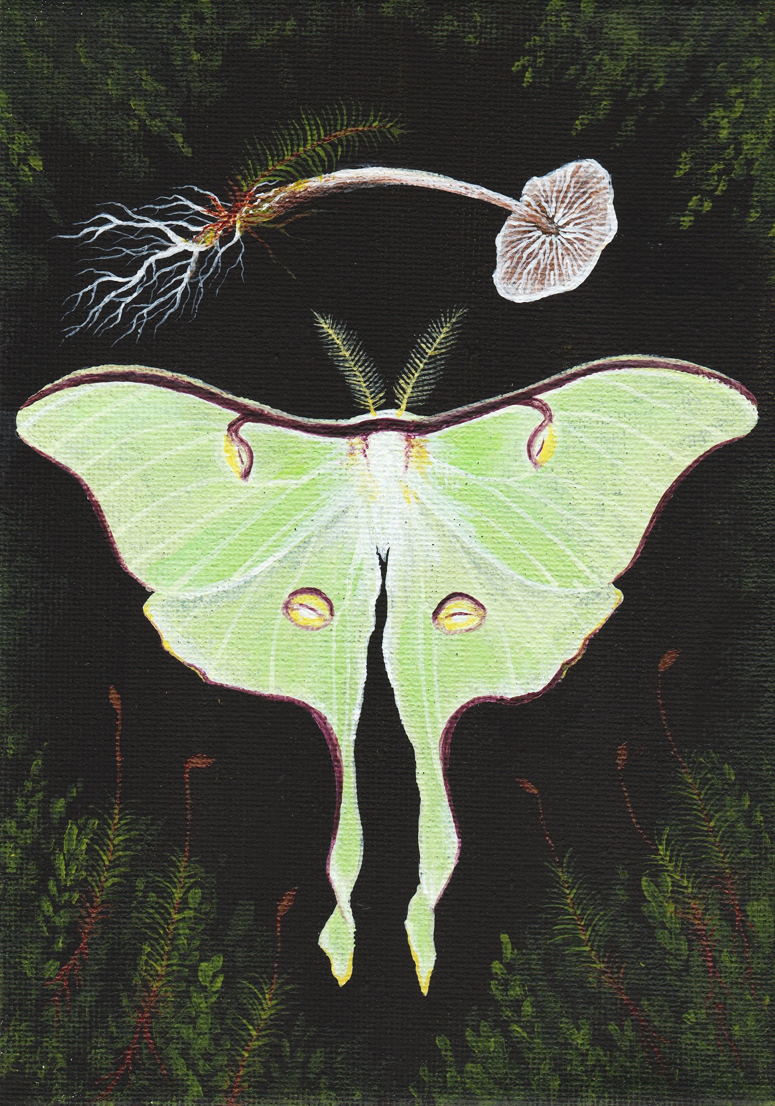 Luna Moth (2024)