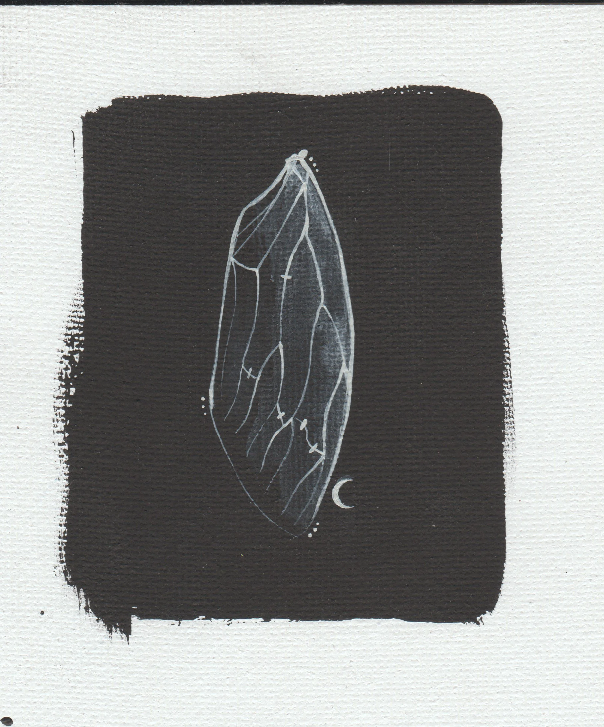 Cicada.jpg (Copy)