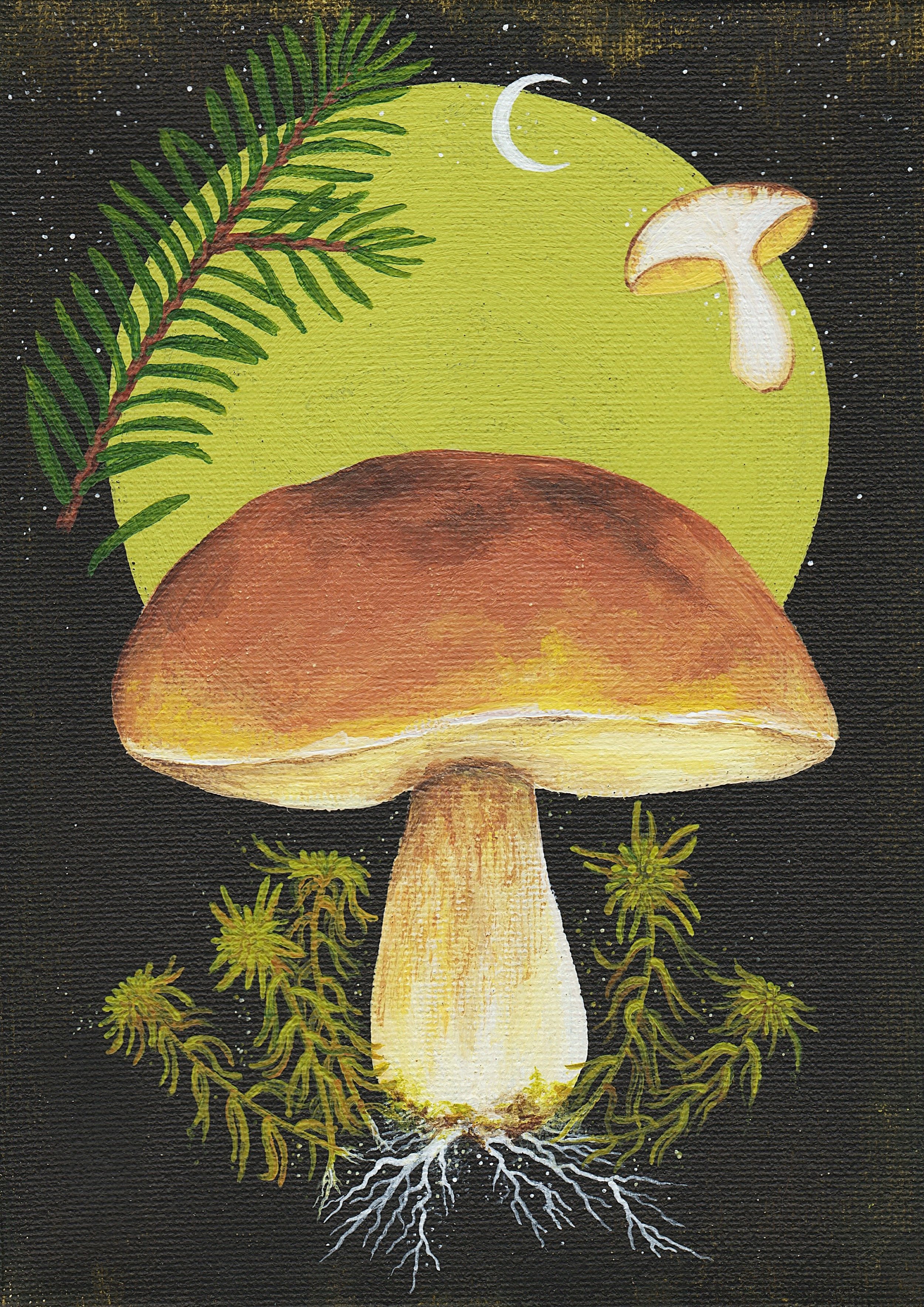 Bolete (2024)
