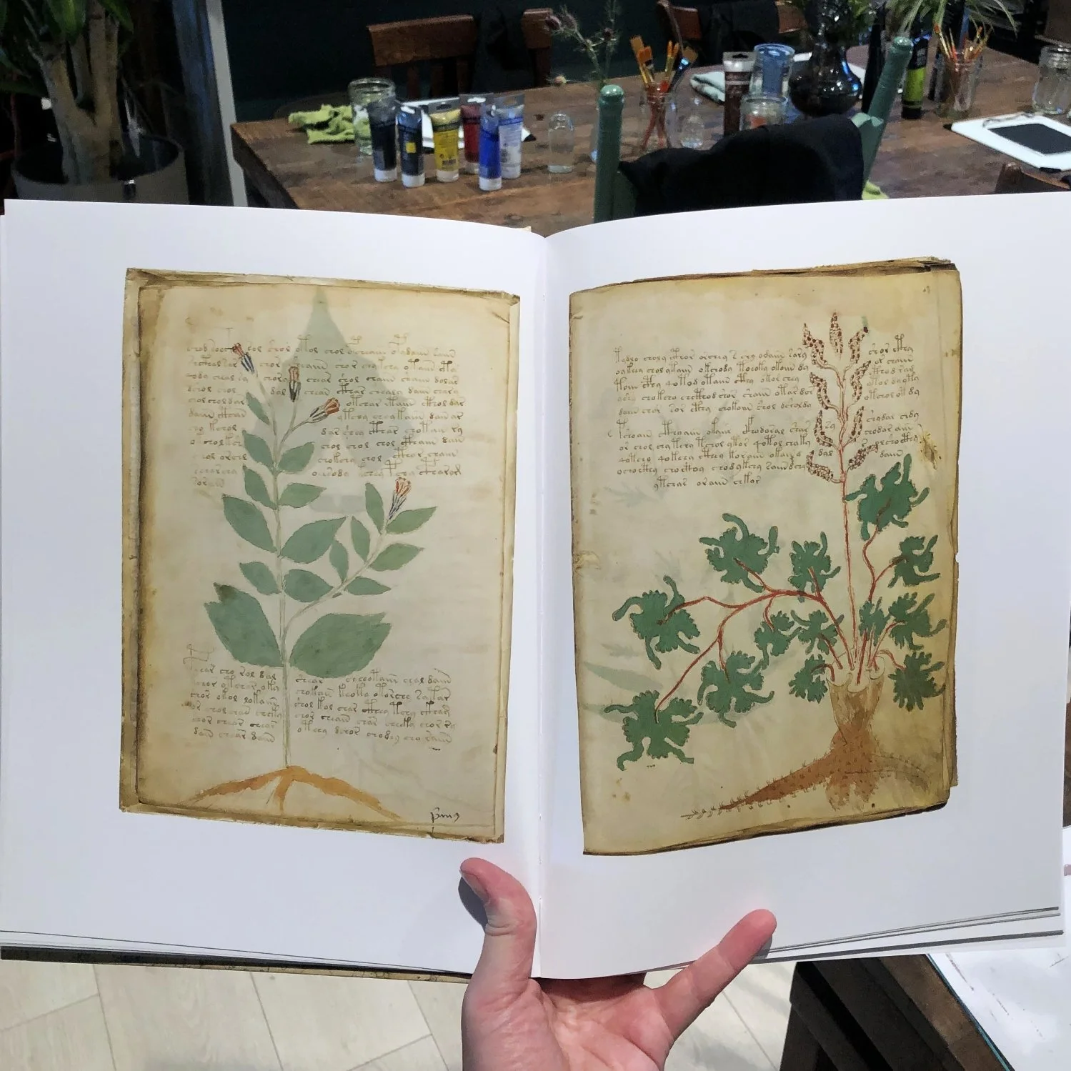 Botanical Painting Class - Voynich Manuscript Inspired - 11/20