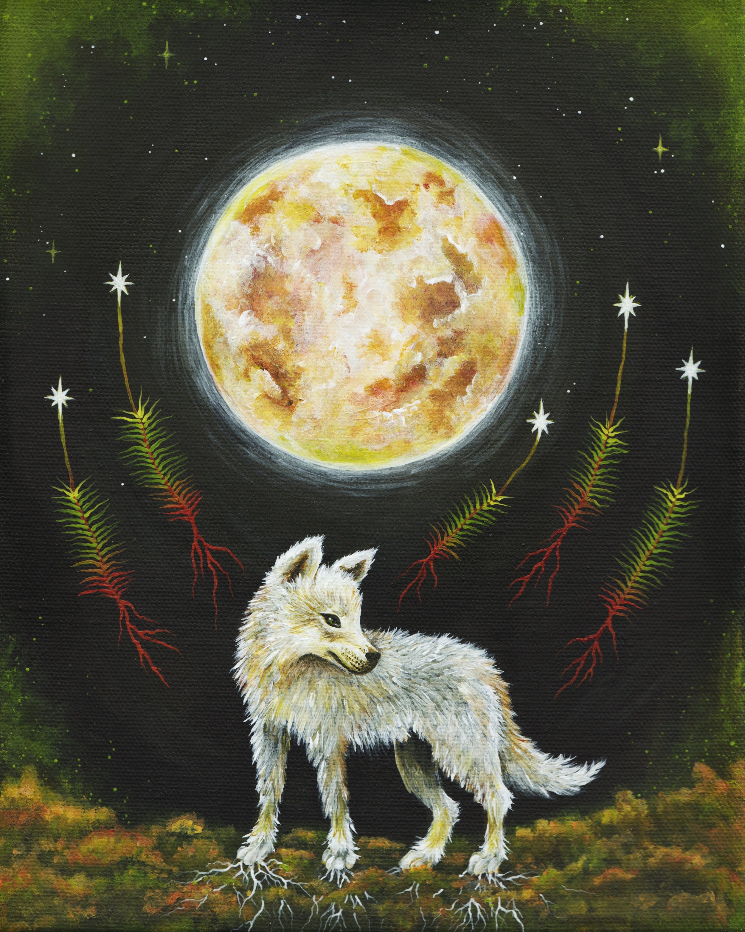 Wolf Moon Over the Bog 8 x 10.jpg