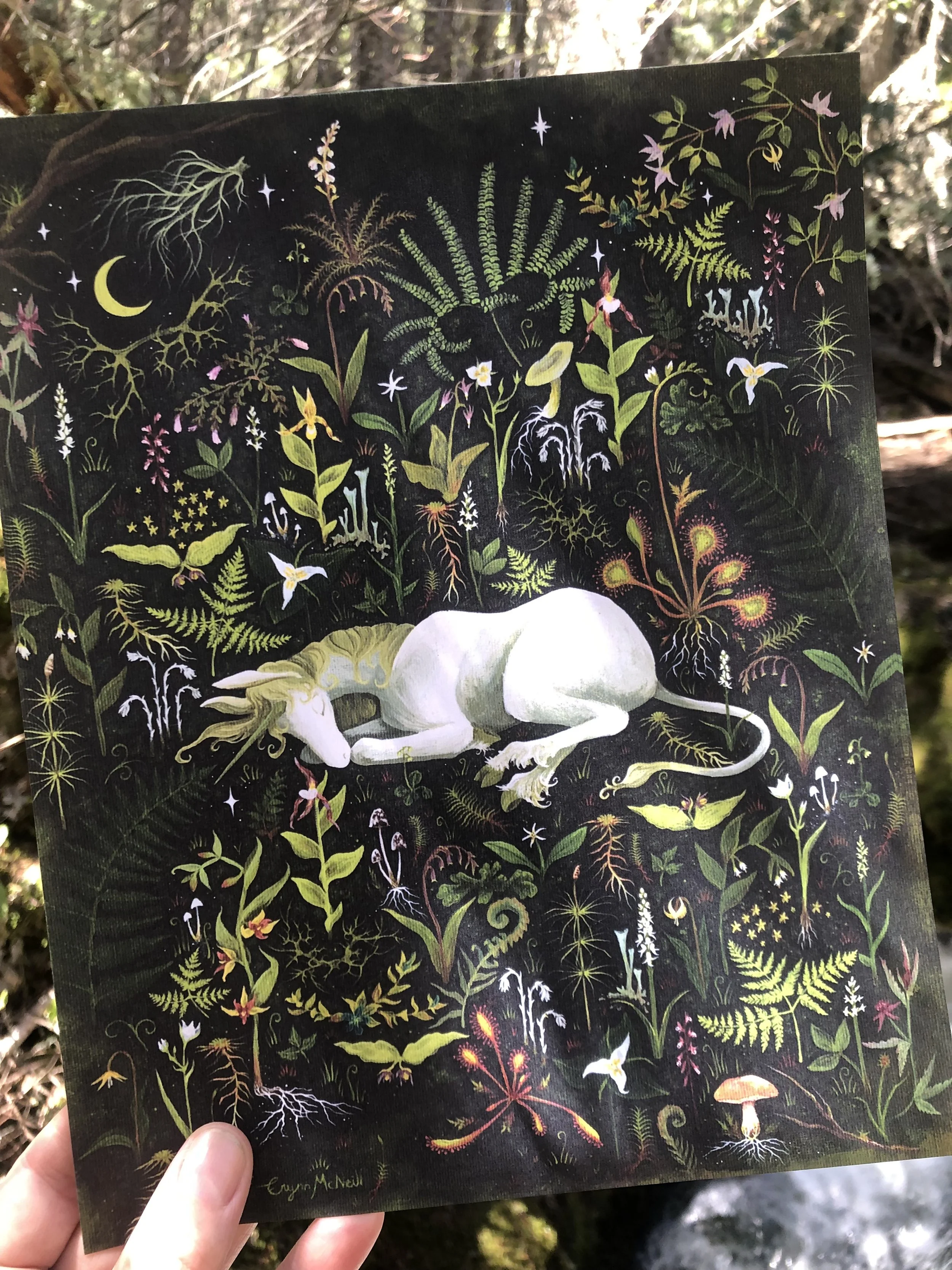 The Unicorn Rests in the Forest Print