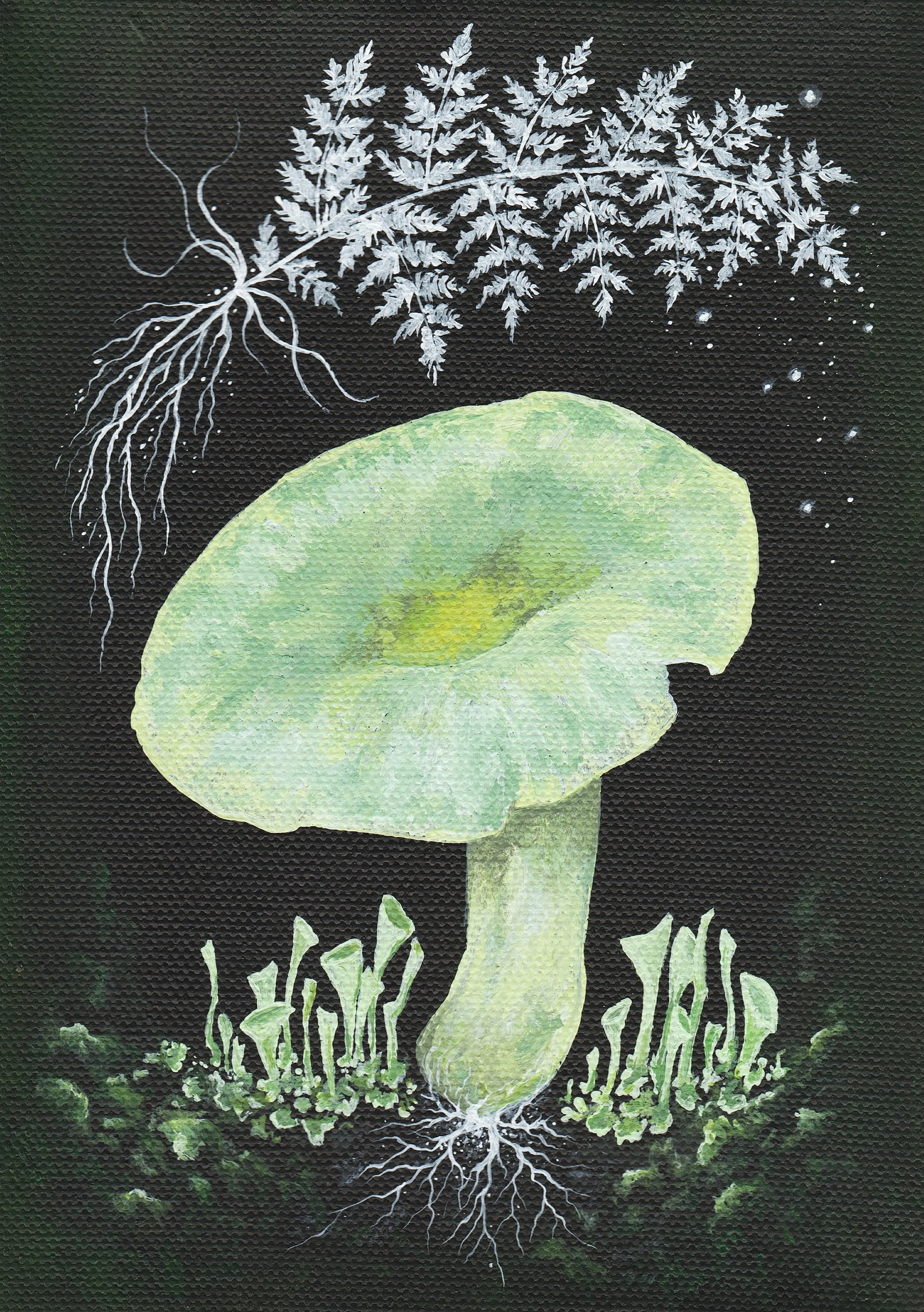 Green Russula 
