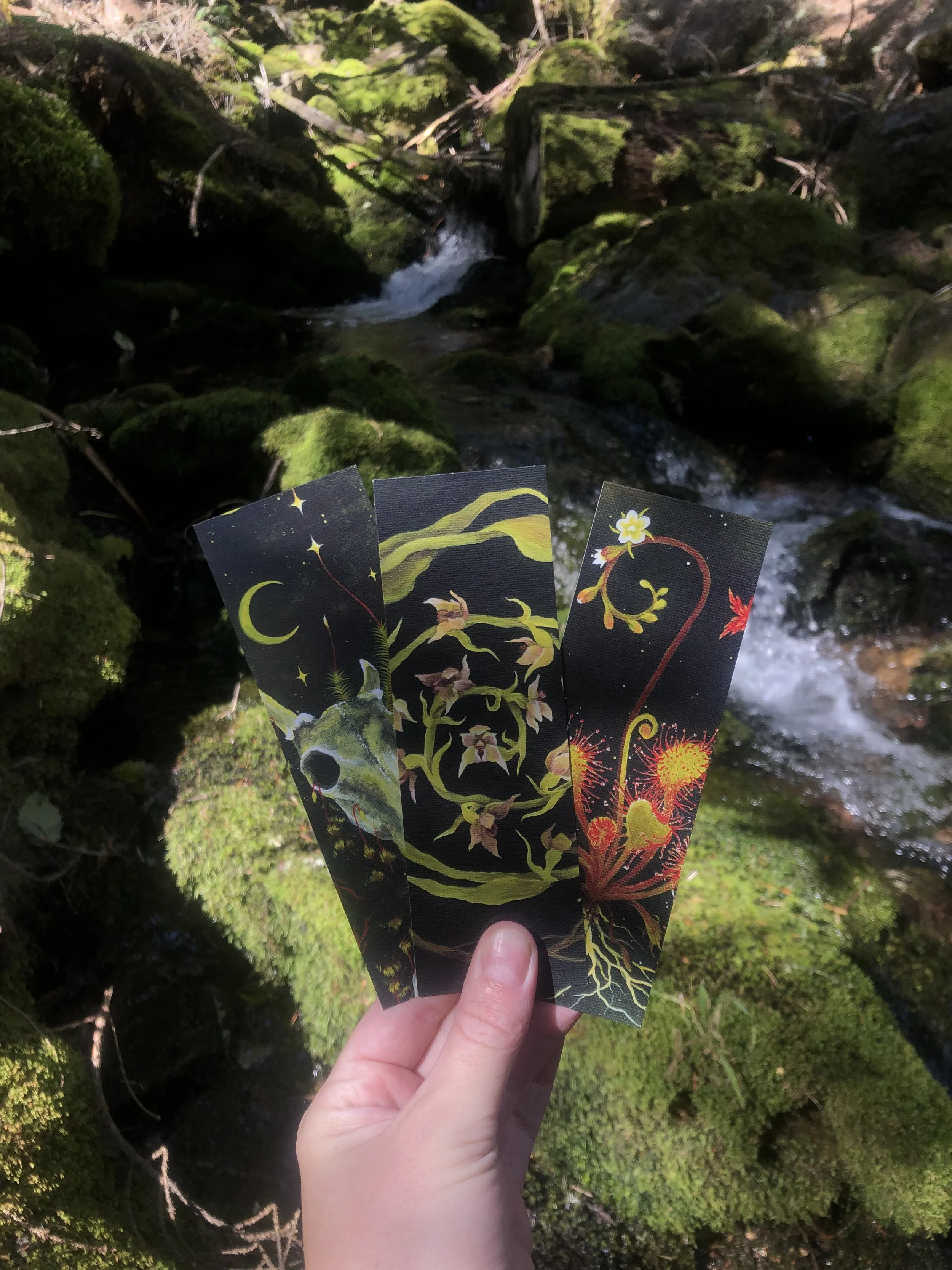 Bookmarks