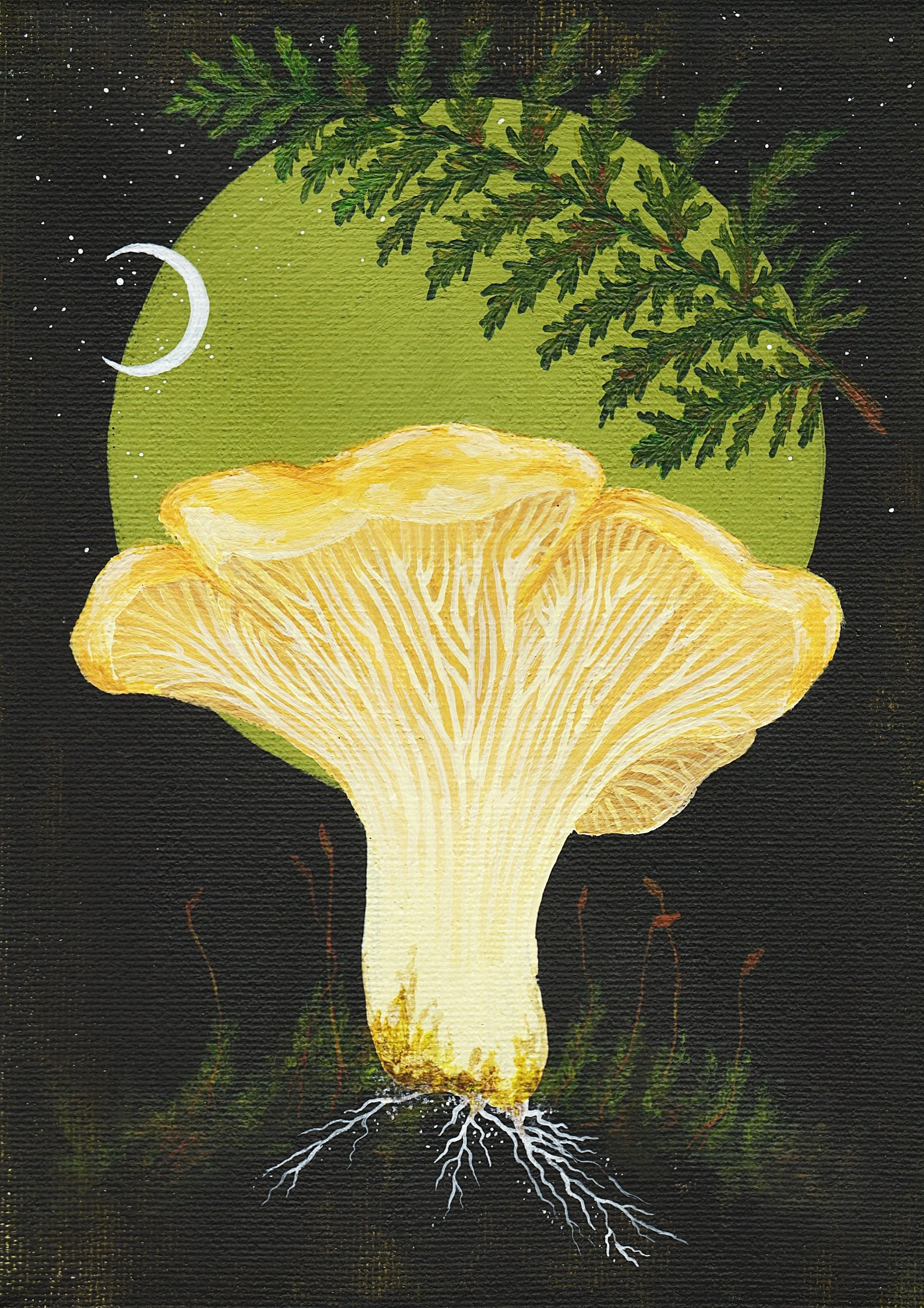 Chanterelle (2024)