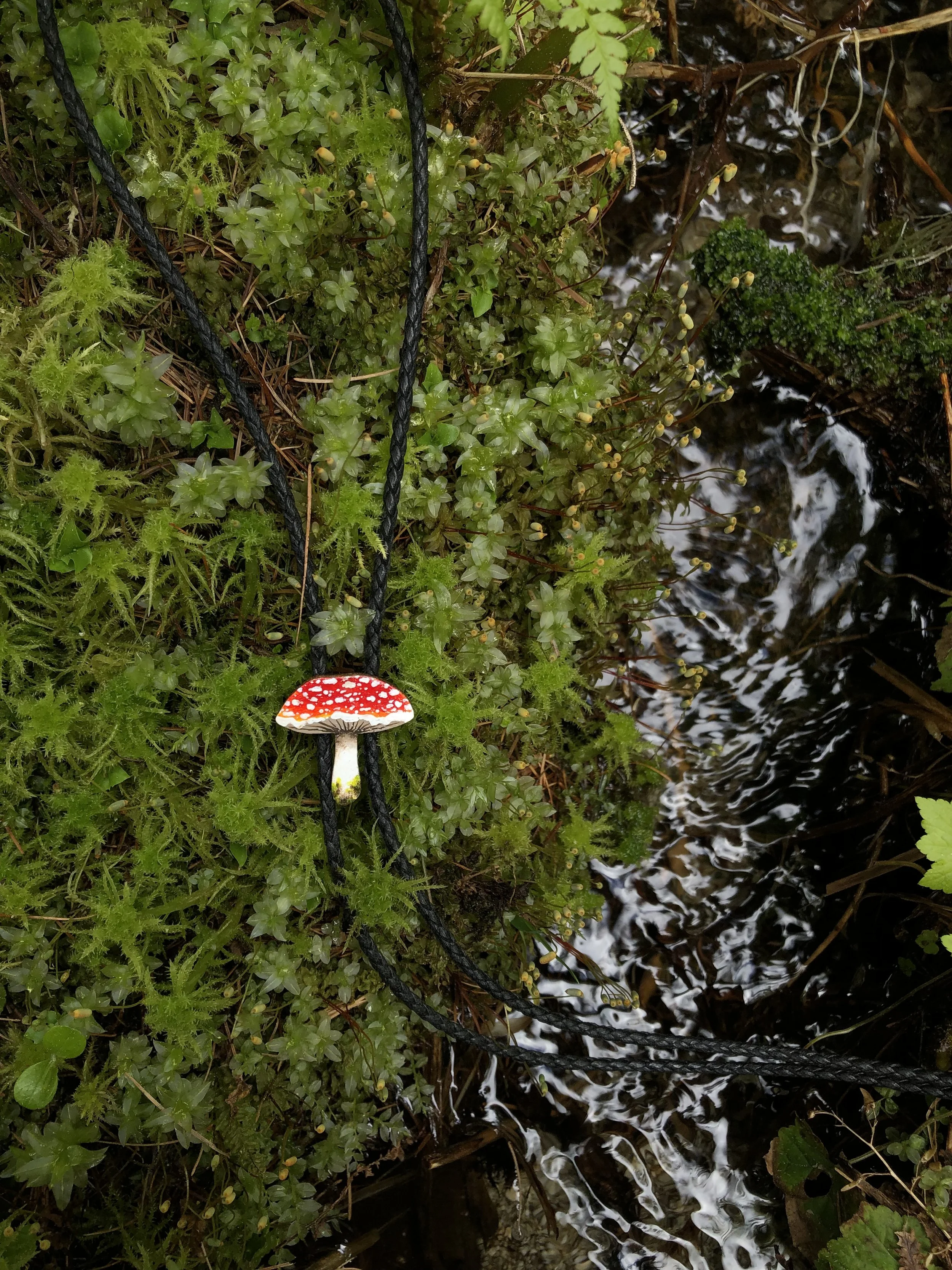 Round Cap Amanita Mushroom Bolo Tie