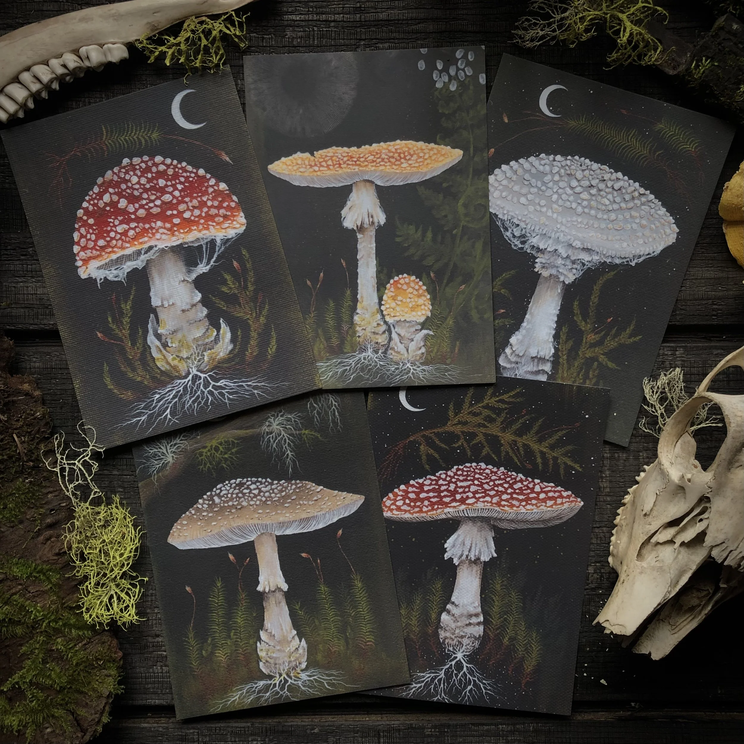 Up Moss Creek Studio Amanita Postcard Print Set .jpg
