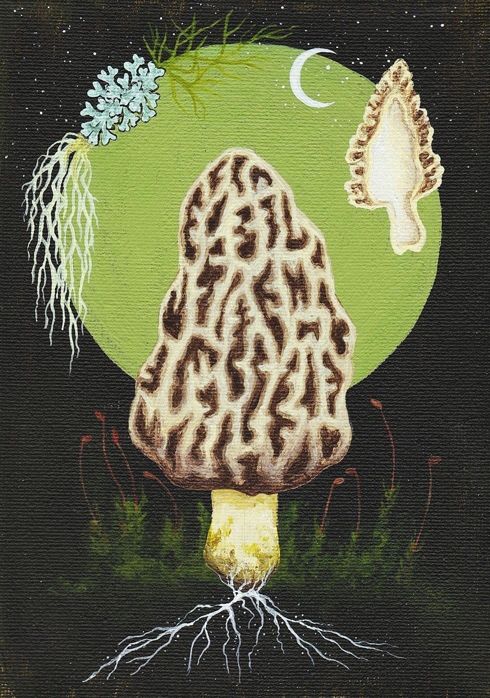 Morel (2024)