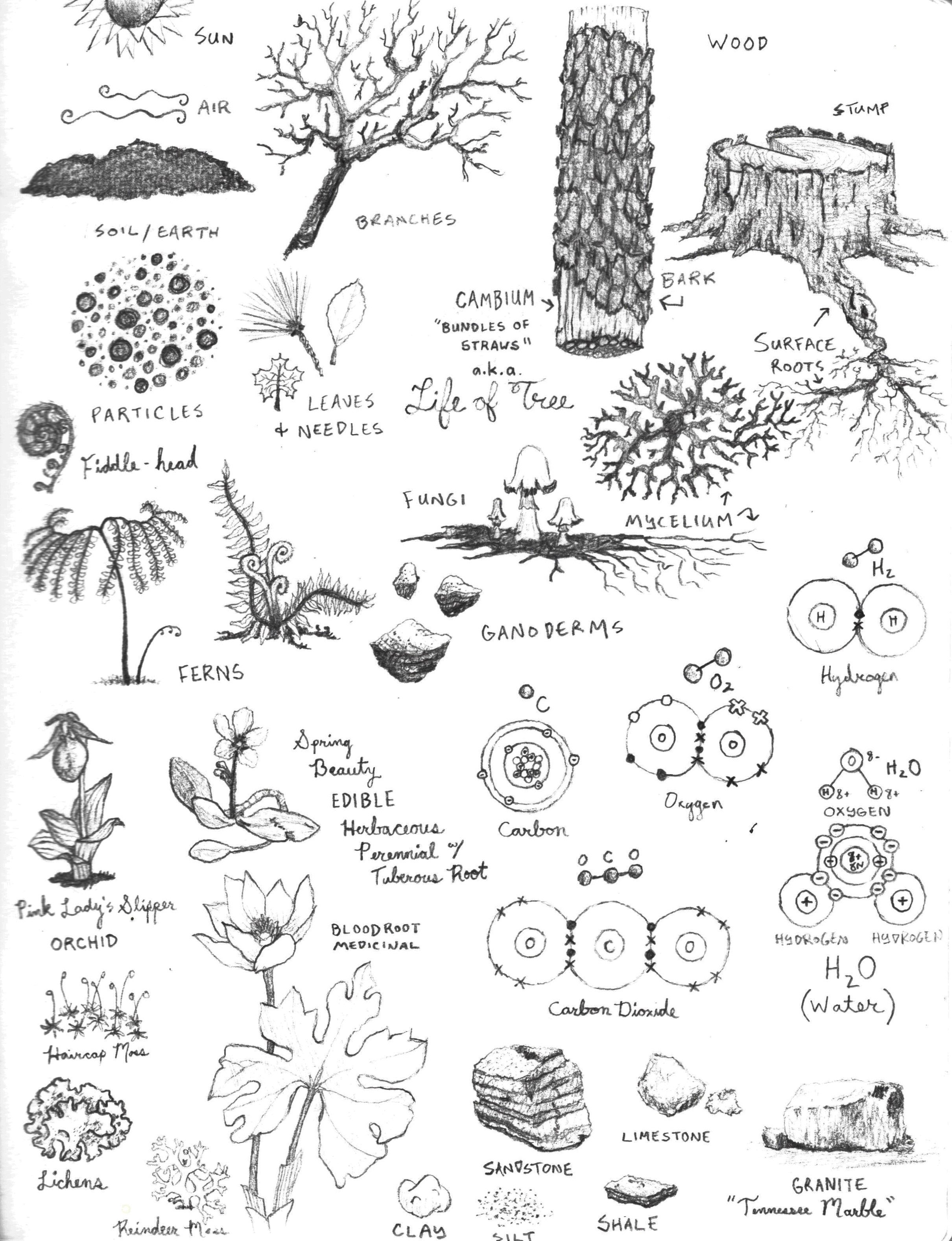 Site Generators Illustrated.jpeg