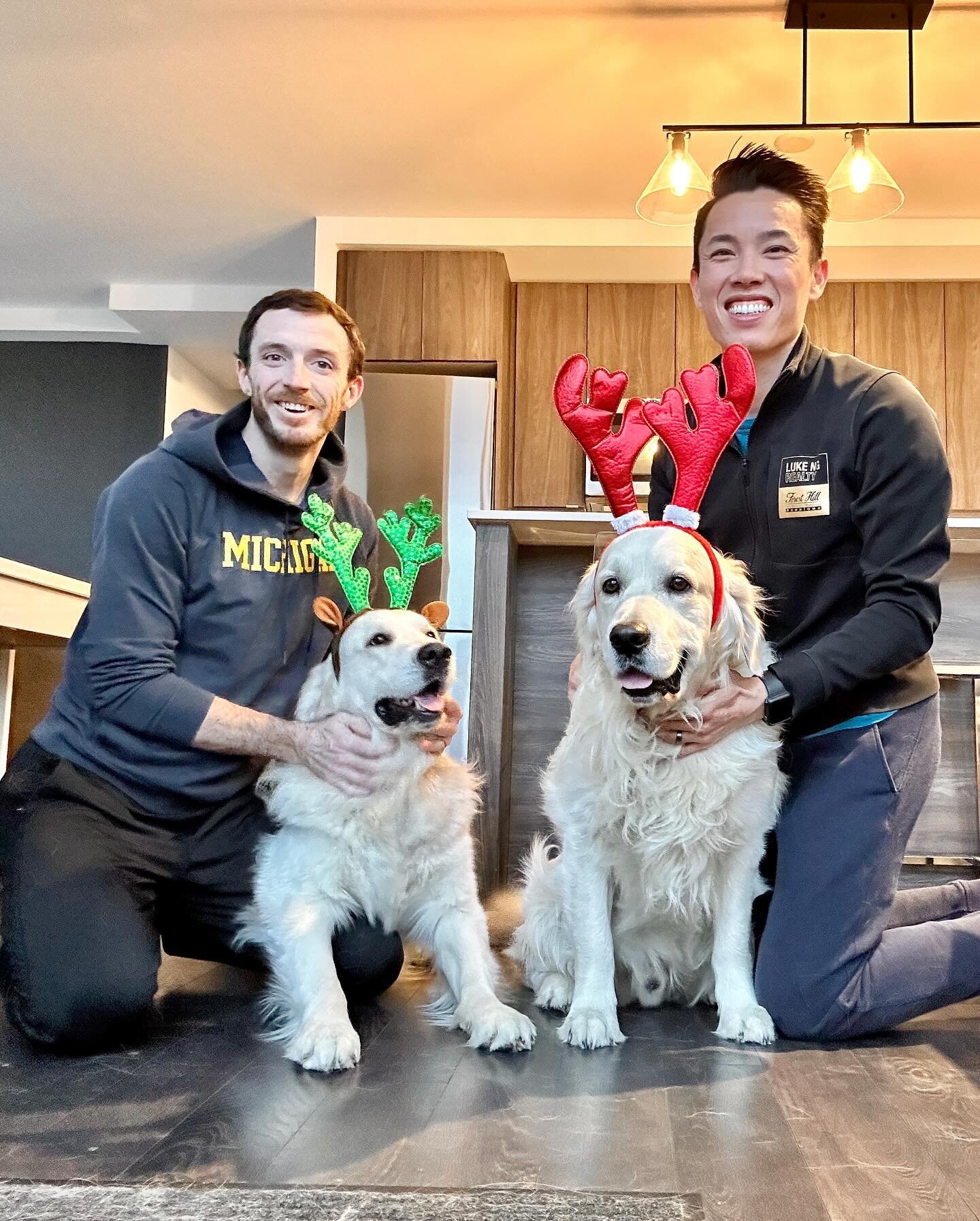 This was the best we could do. Merry Christmas! 🎄🐕🦮
.
.
.
.
#christmas #family #dogs #goldenretriever #home #holidays