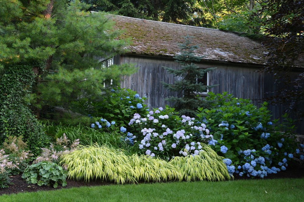 H-outbuilding with lush planting168.jpg