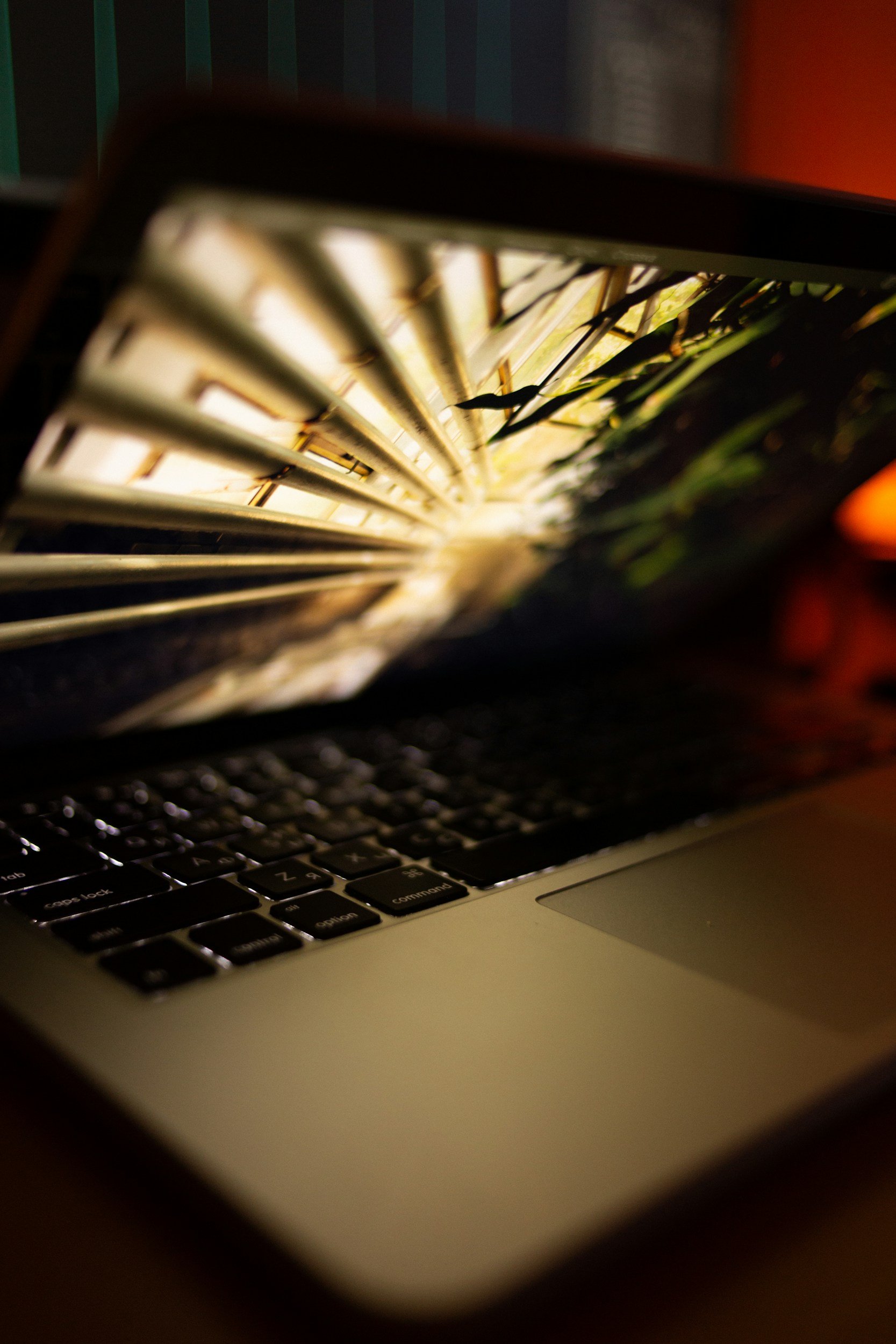 A laptop computer with a backlit keyboard showing a close-up of the left side and part of the screen, which displays an image of a green plant viewed from below with rays of sunlight streaming through.