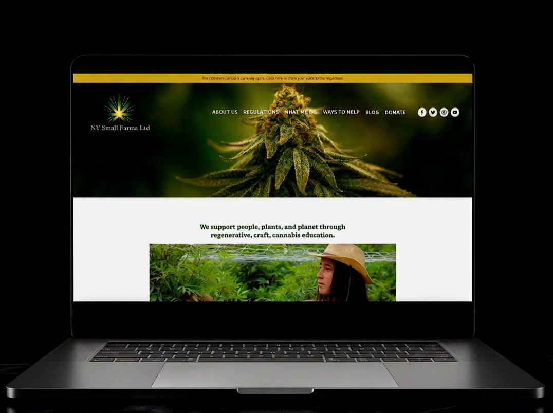A laptop displaying a website for NY Small Farma Ltd with images of cannabis plants and a person growing cannabis outdoors.