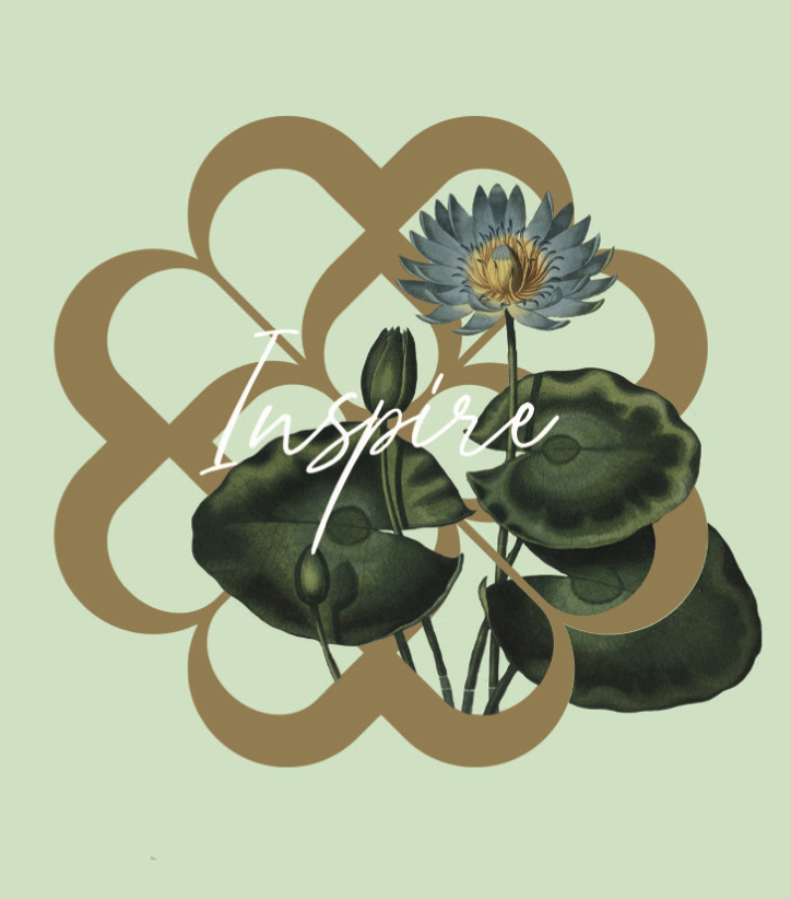 Episode: A Washashore Remembers