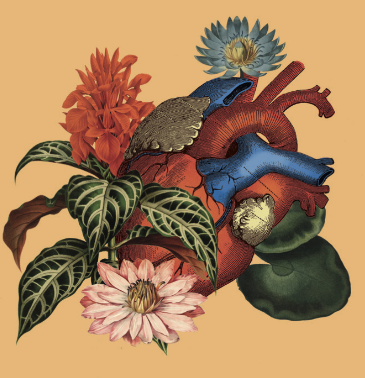 Episode: SELF LOVE 