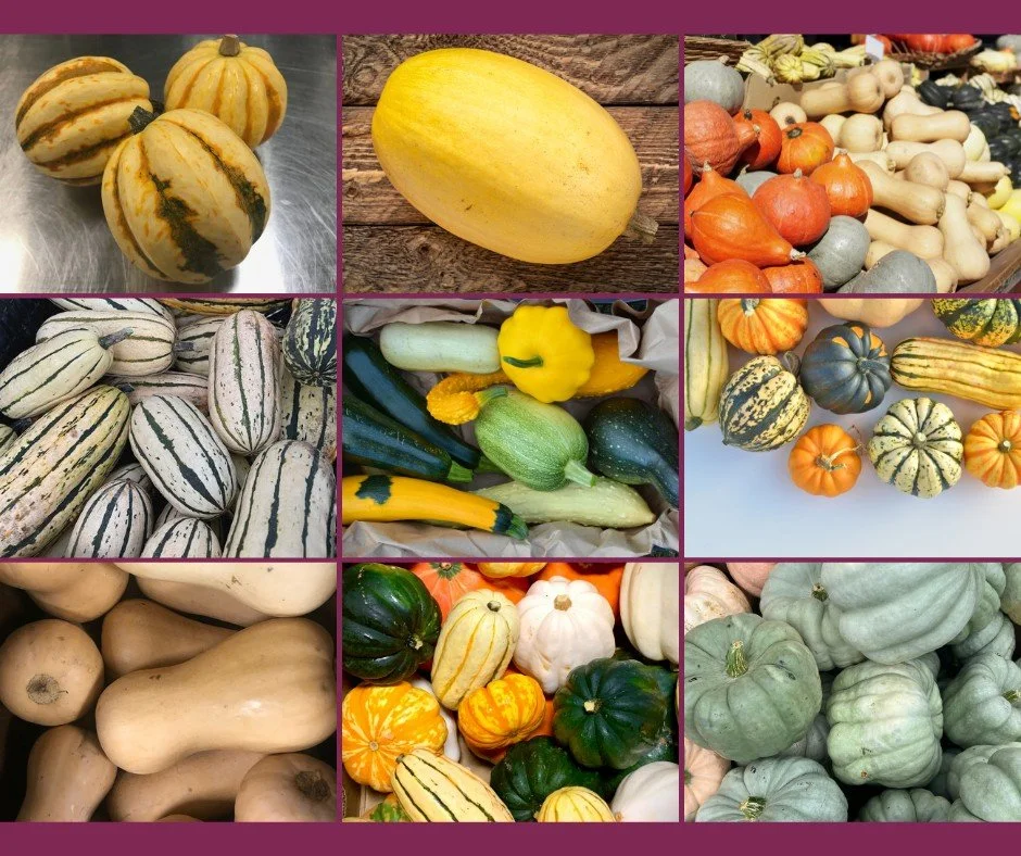 You can roast it, mash it, stuff it, bake it&hellip; 🎃

There&rsquo;s butternut squash, acorn squash, delicata, spaghetti, kabocha, and pumpkin too. You can make soup, risotto, pasta, tacos, or pie&hellip; you can even decorate with it!

It&rsquo;s 