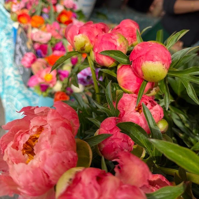 May has been a blur, but in all the best ways.

Beautiful flowers, spring tablescapes, long catering days, meaningful conversations, inspiring professional development events, and so many moments that reminded me why I love this work so much.

Here&r