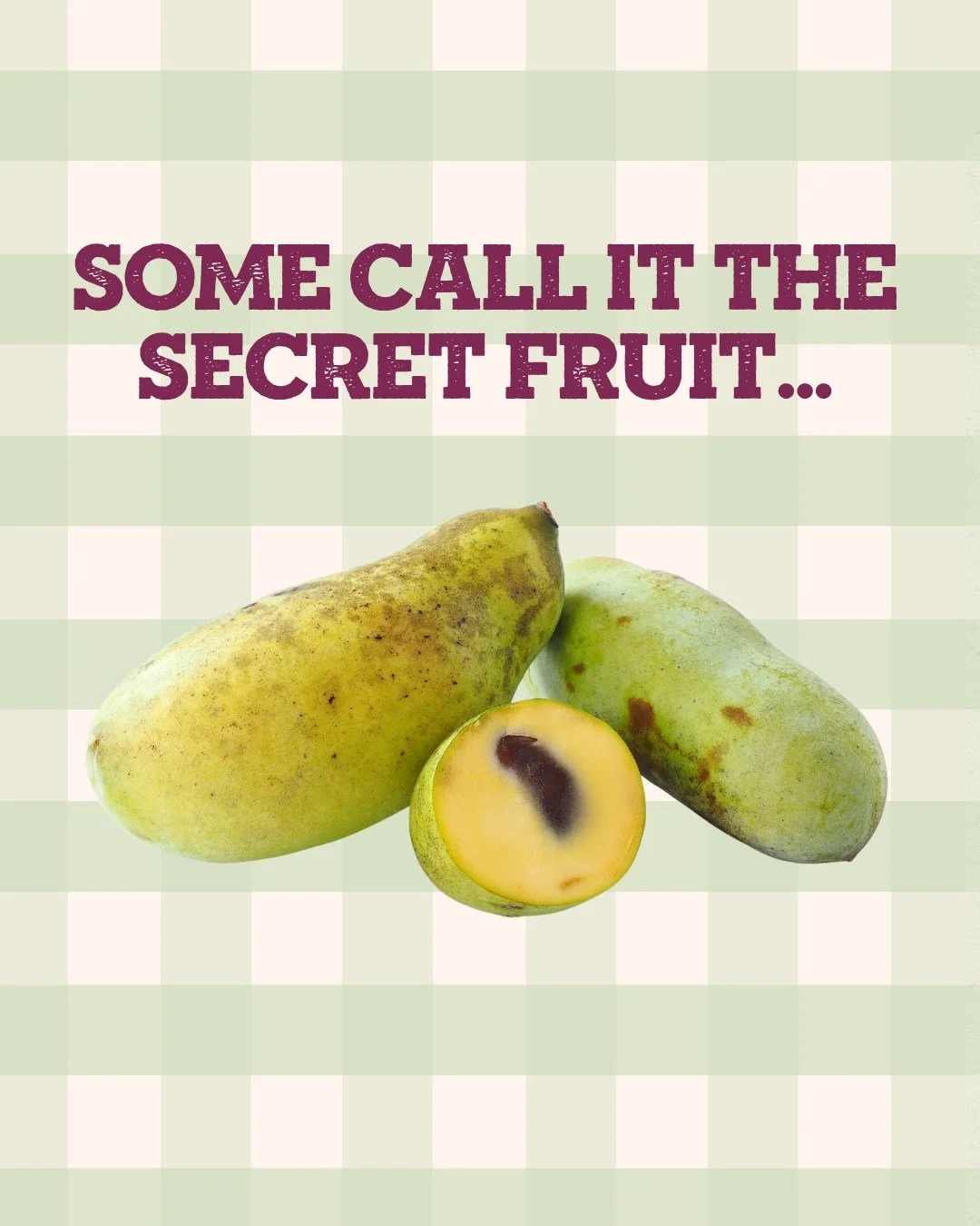 Have you tasted Kentucky&rsquo;s &ldquo;secret fruit&rdquo;? 

Join us at the Louisville Nature Center&rsquo;s fourth annual Pawpaw Festival on Saturday, September 12, from 11 a.m.&ndash;4 p.m. for guided hikes, workshops and a celebration of this un