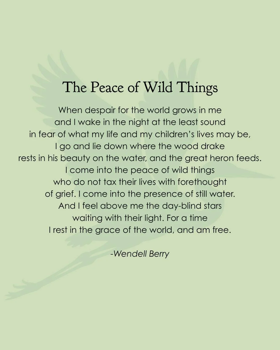 I was deeply saddened to learn yesterday of the passing of Wendell Berry. I was fortunate enough to meet him a few times over the years, to hear him speak, and to listen to him read his work aloud. He was always charming, funny, and incredibly humble